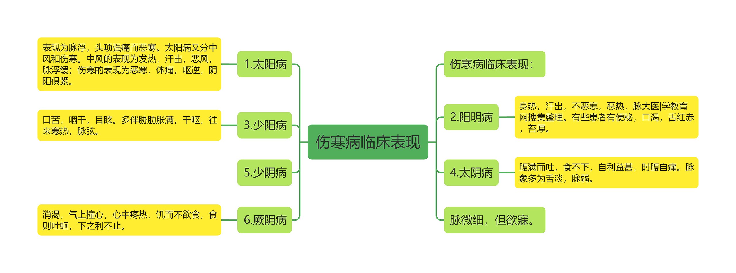 伤寒病临床表现