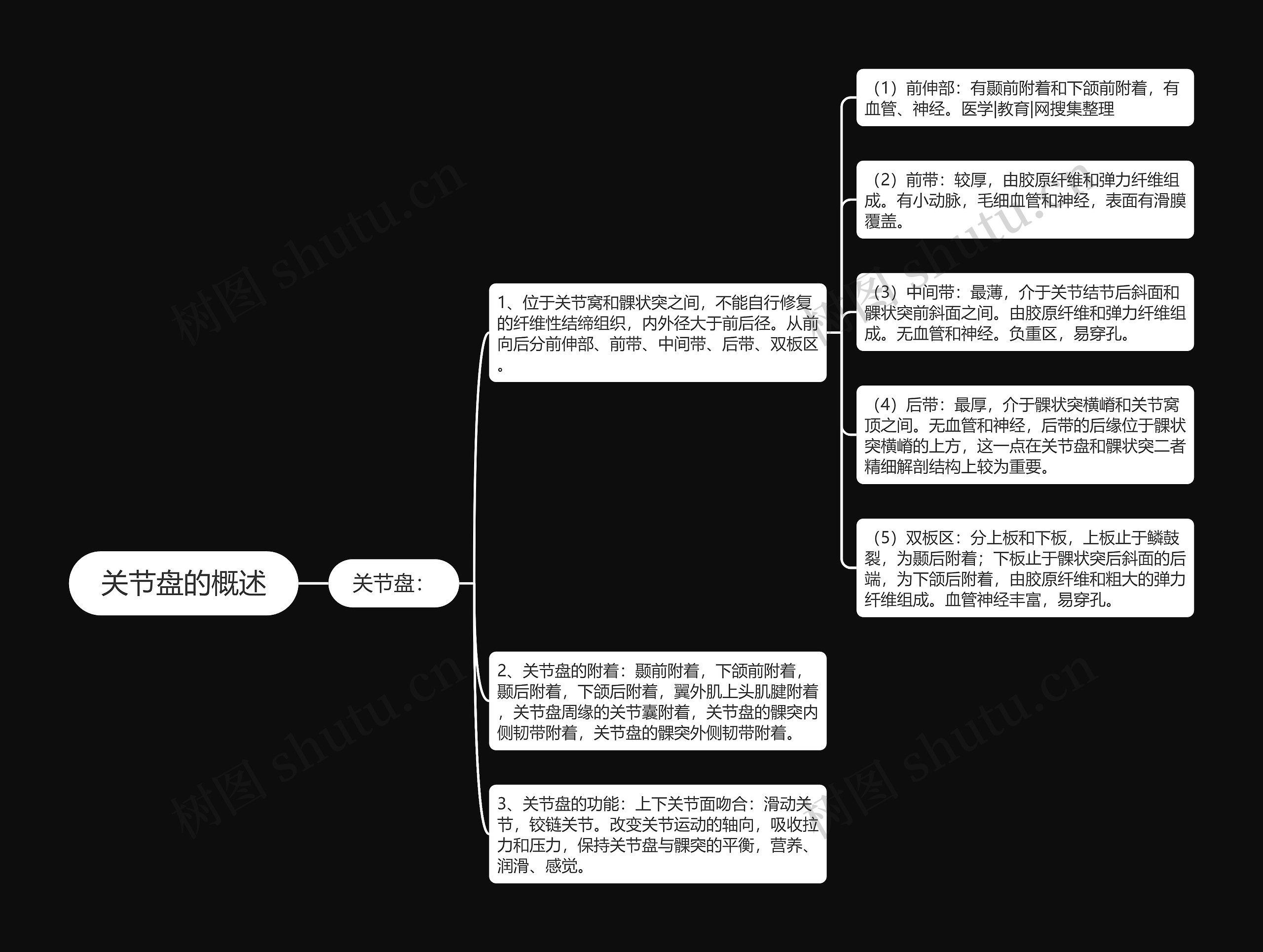 关节盘的概述思维导图