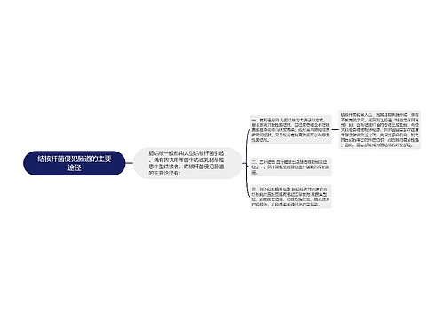 结核杆菌侵犯肠道的主要途径