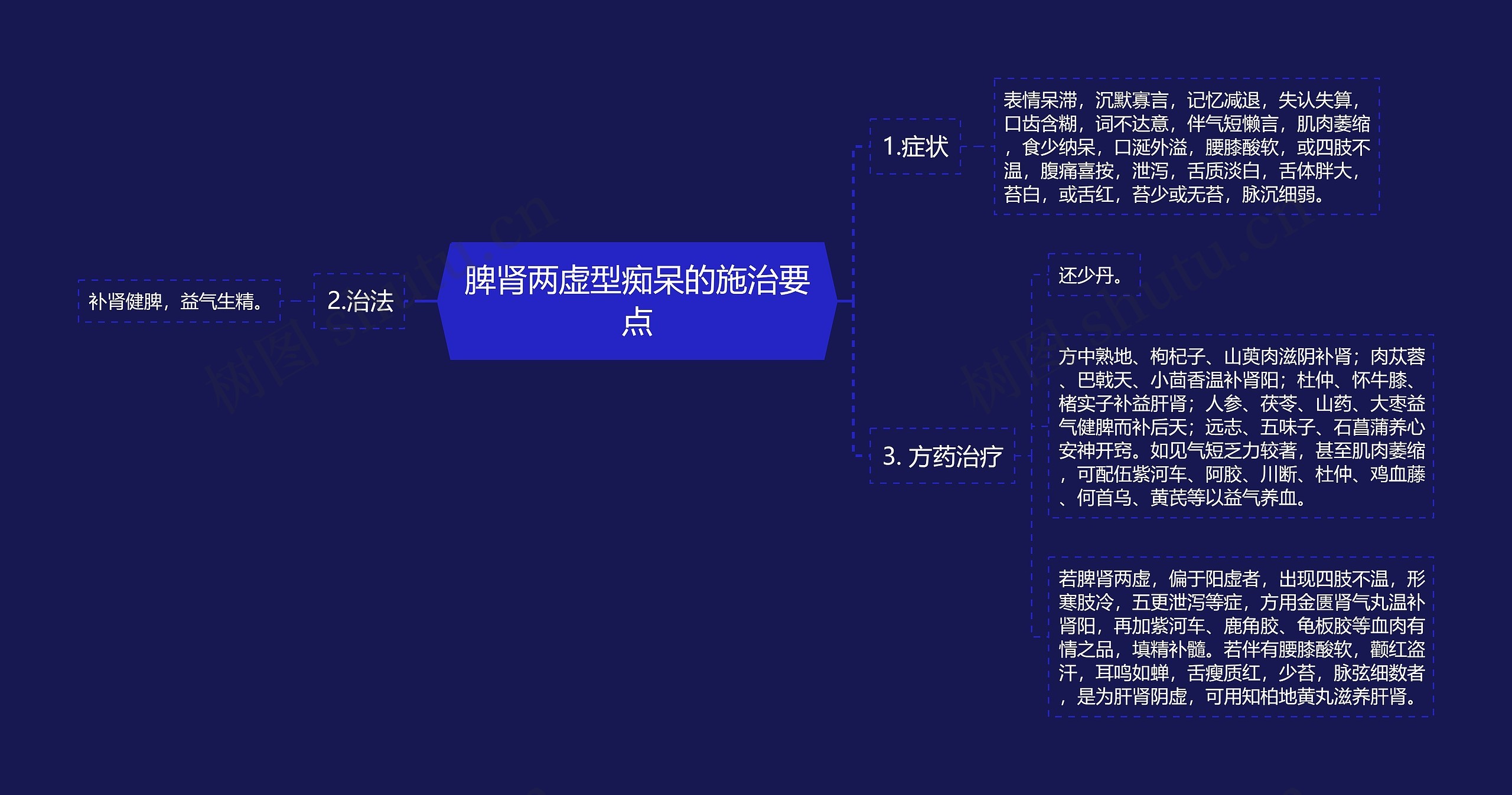 脾肾两虚型痴呆的施治要点思维导图