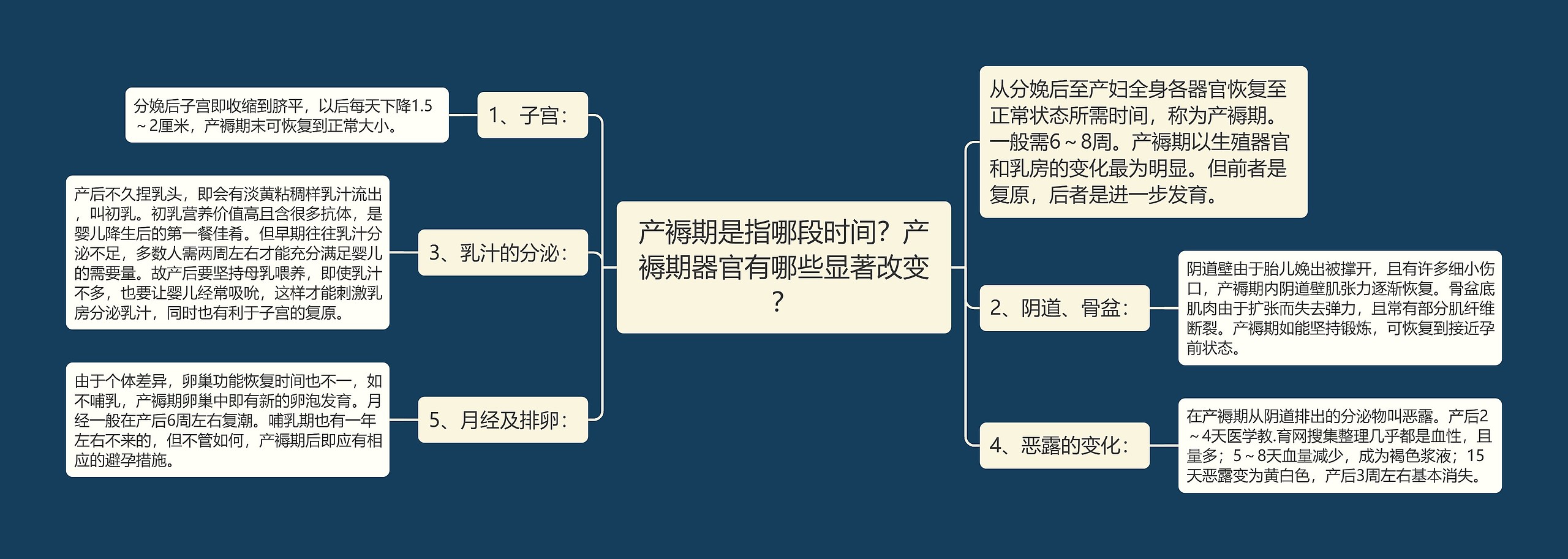 产褥期是指哪段时间？产褥期器官有哪些显著改变？