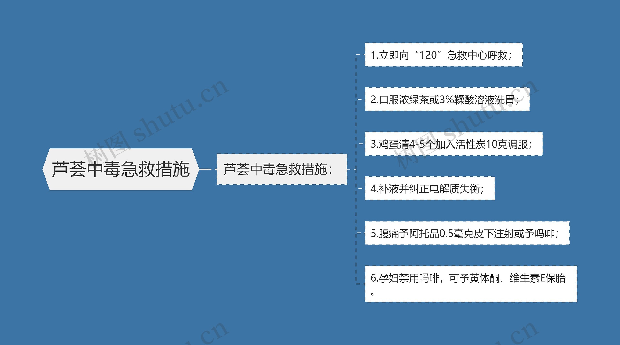 芦荟中毒急救措施思维导图