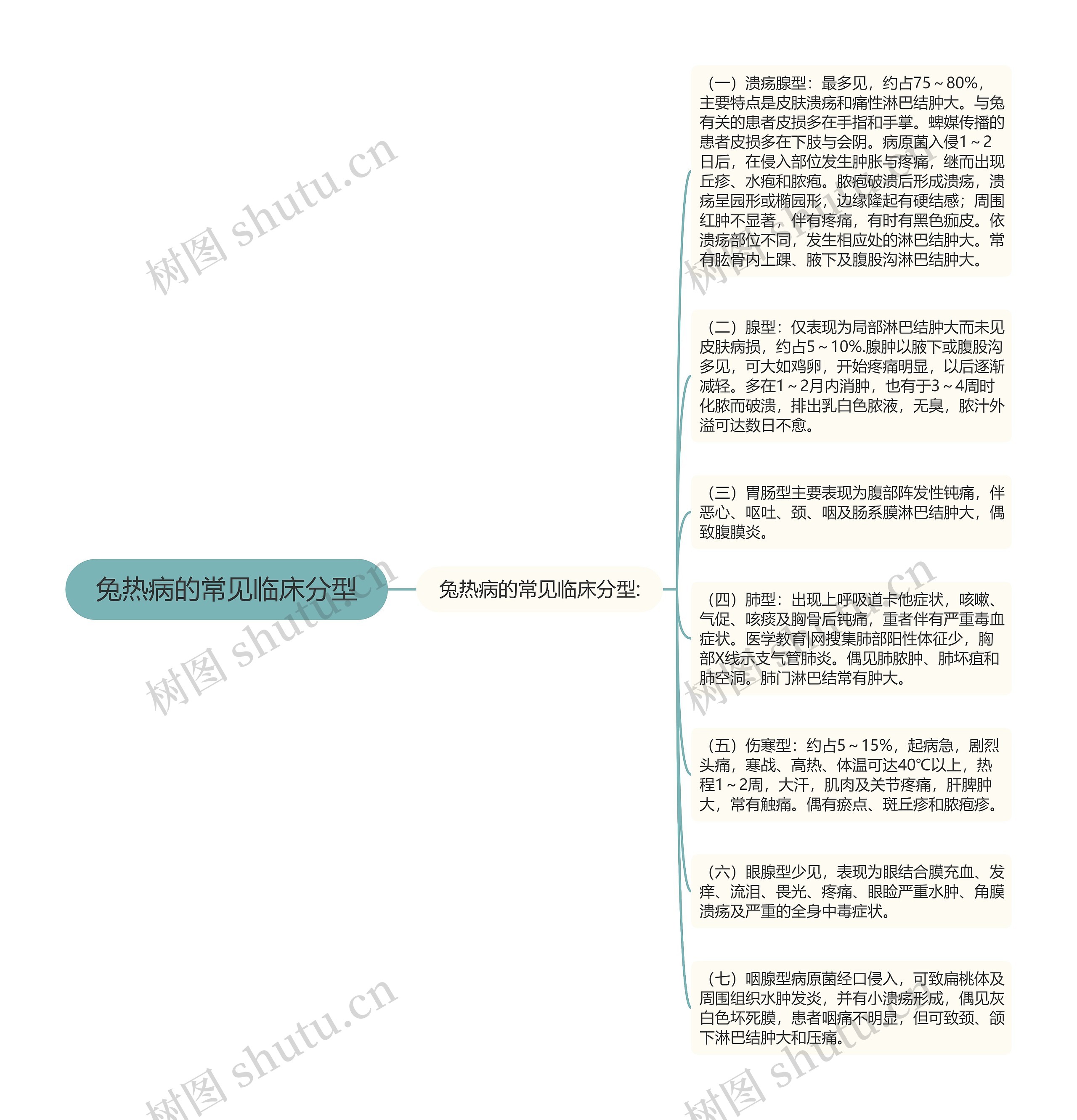 兔热病的常见临床分型思维导图