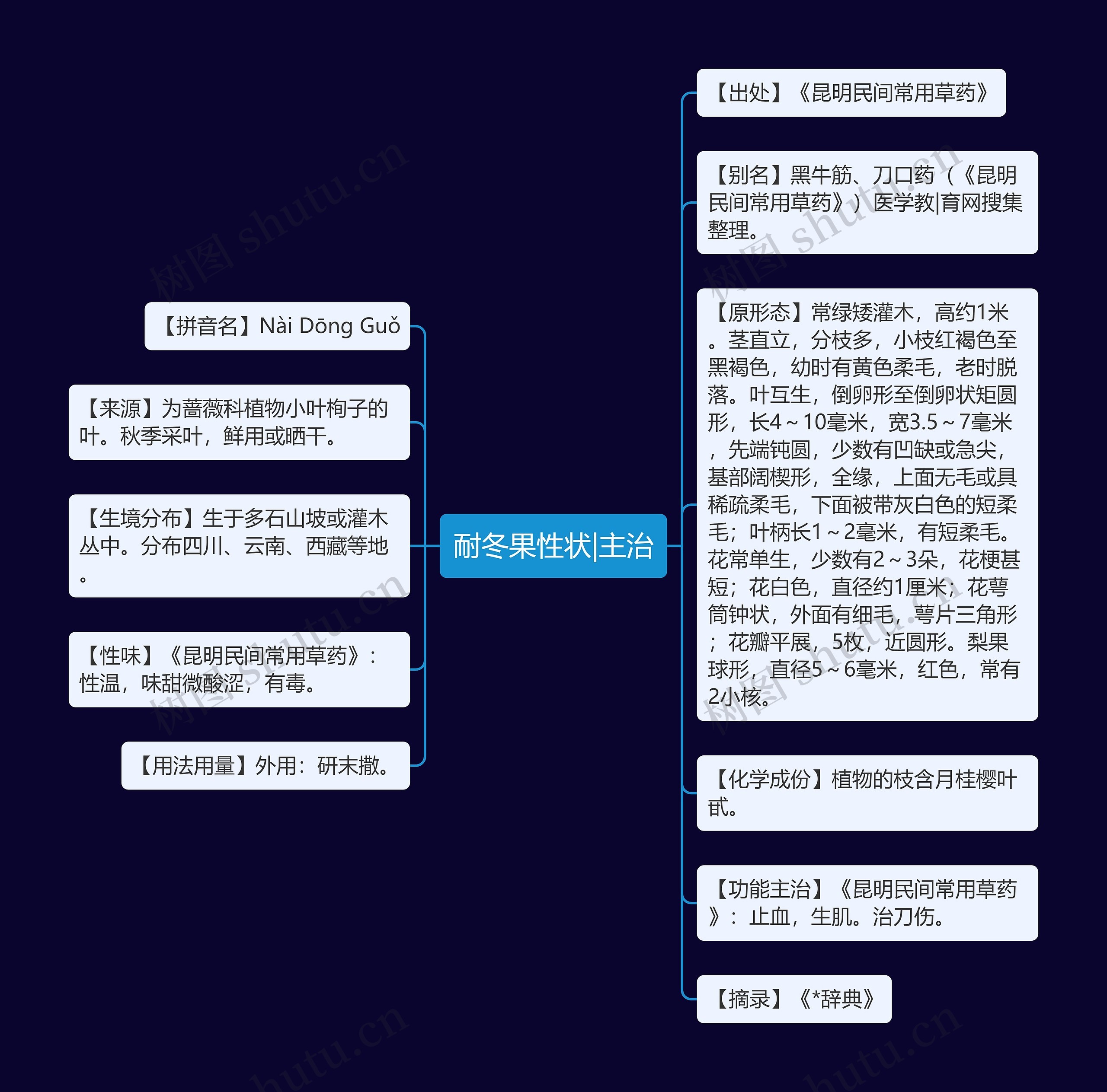 耐冬果性状|主治思维导图