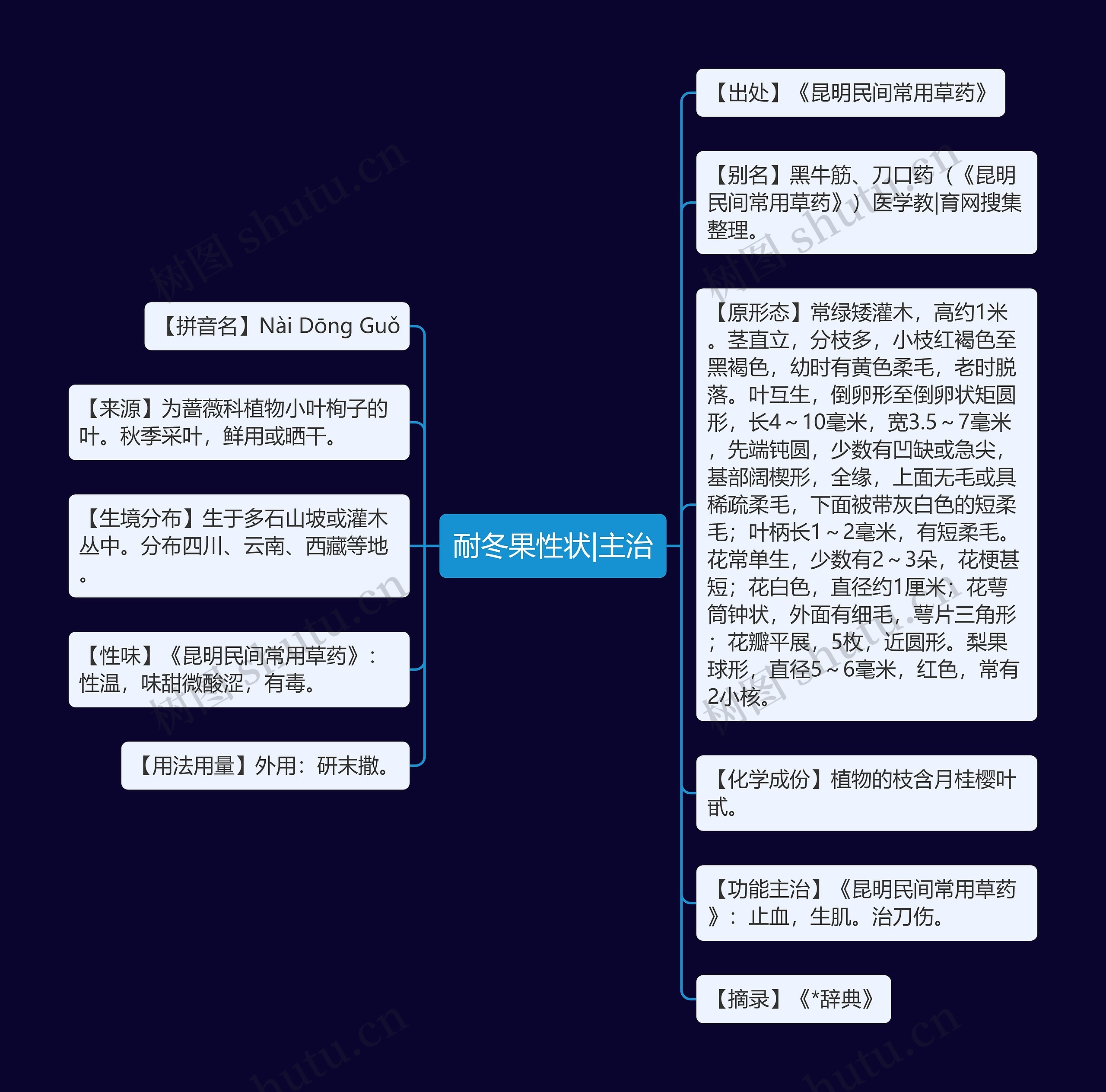 耐冬果性状|主治 耐冬果性状|主治