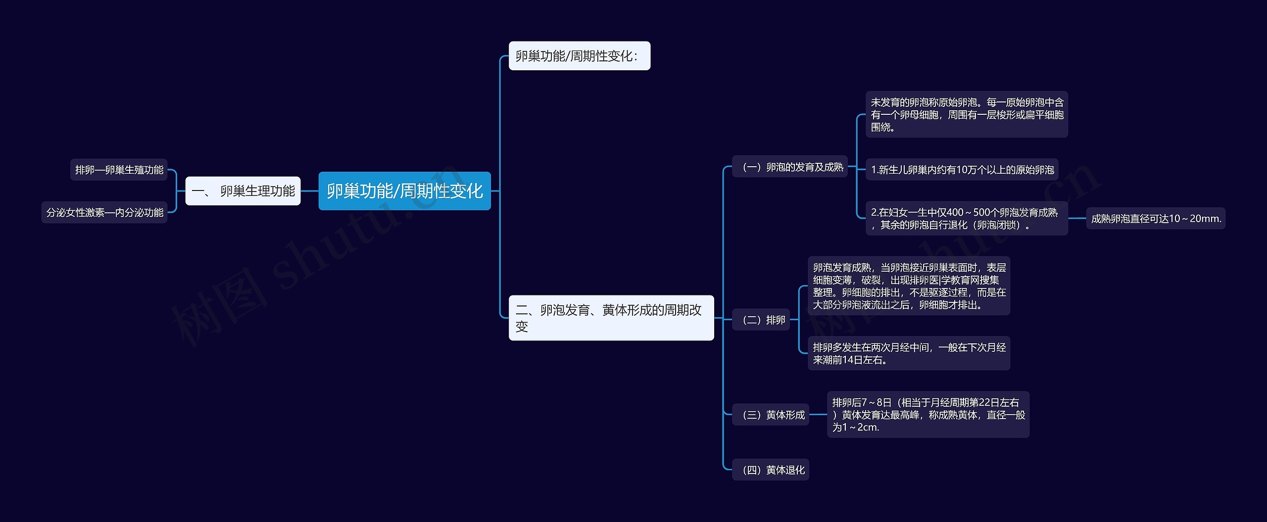 卵巢功能/周期性变化思维导图