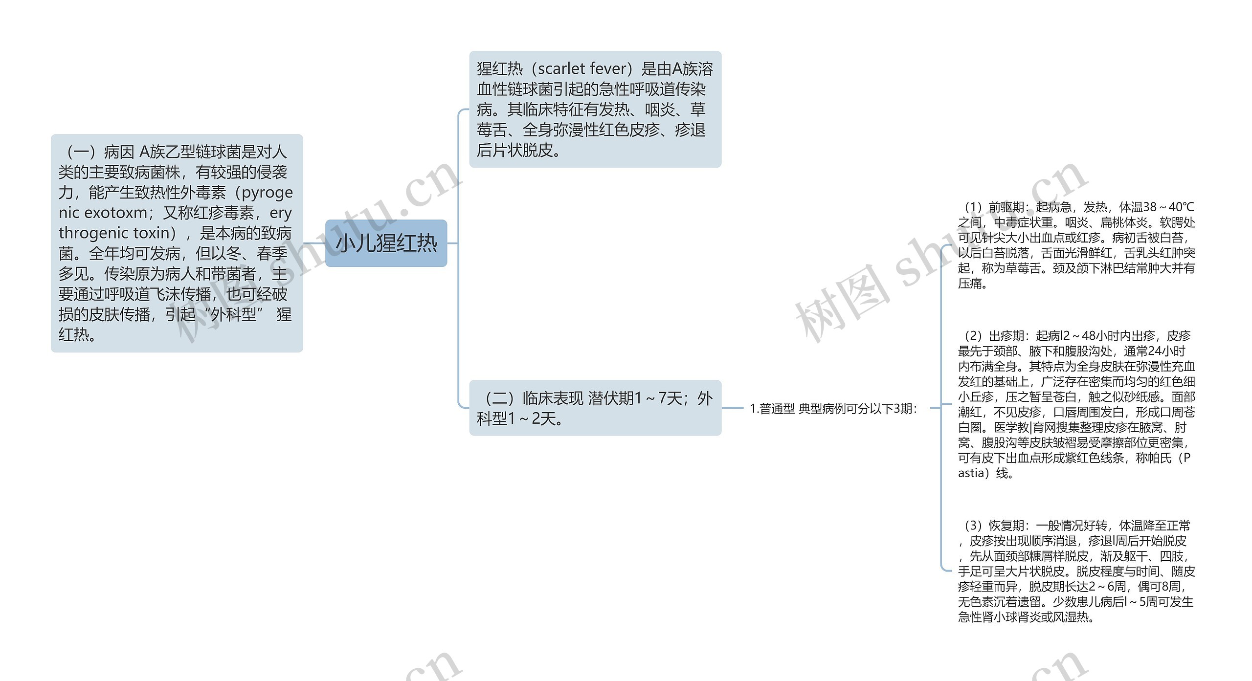 小儿猩红热 小儿猩红热