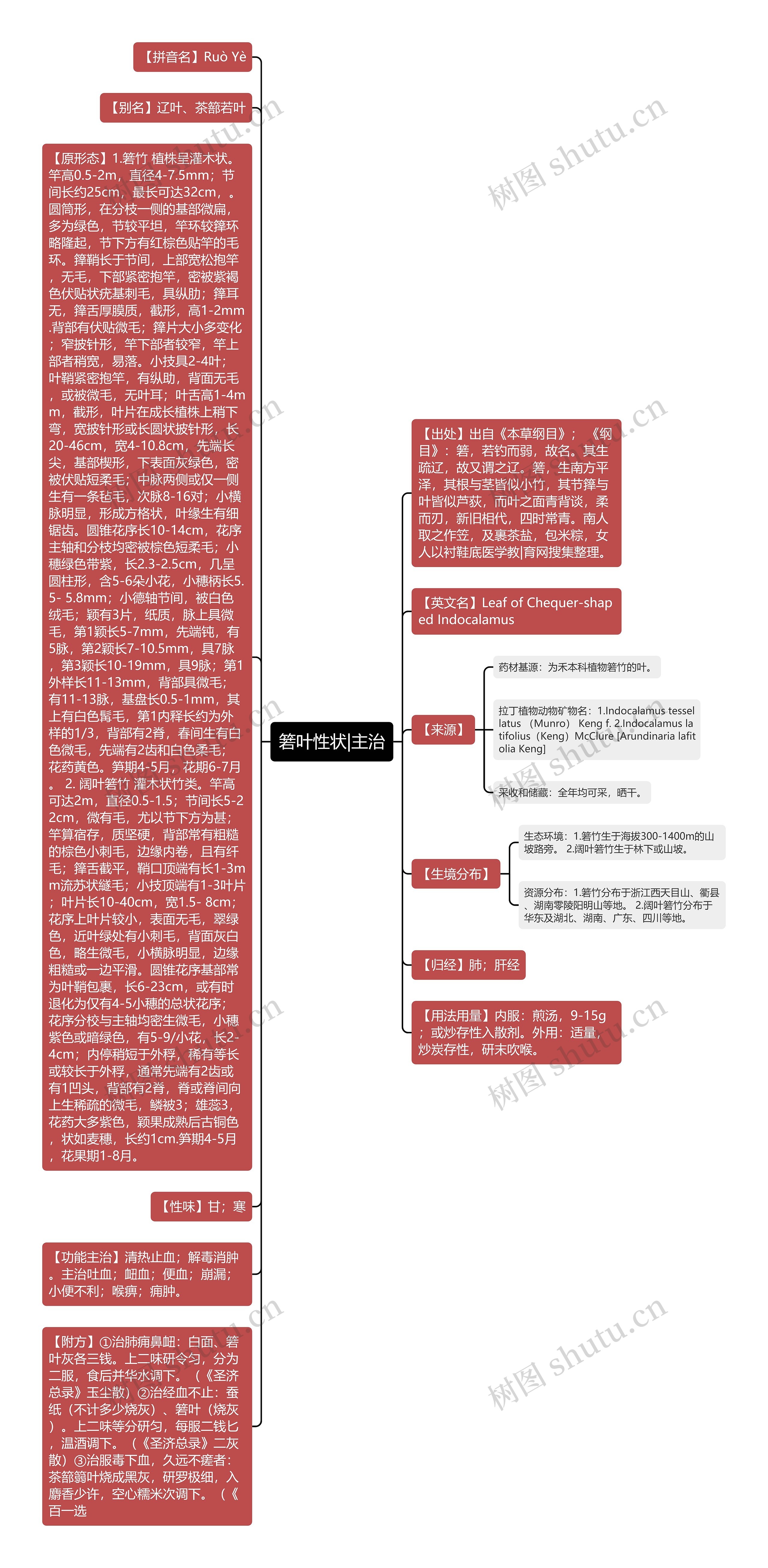 箬叶性状|主治思维导图