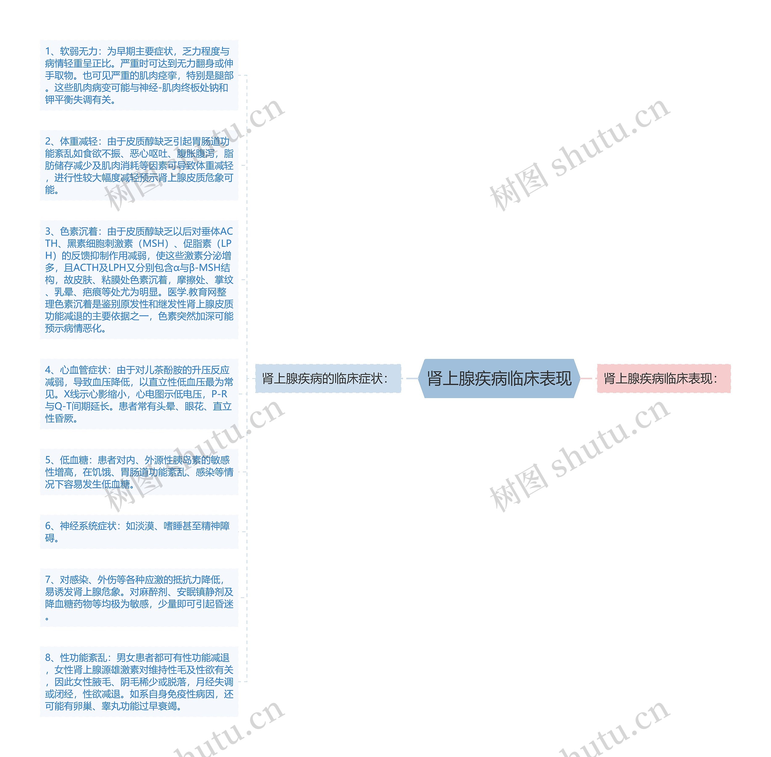 肾上腺疾病临床表现思维导图