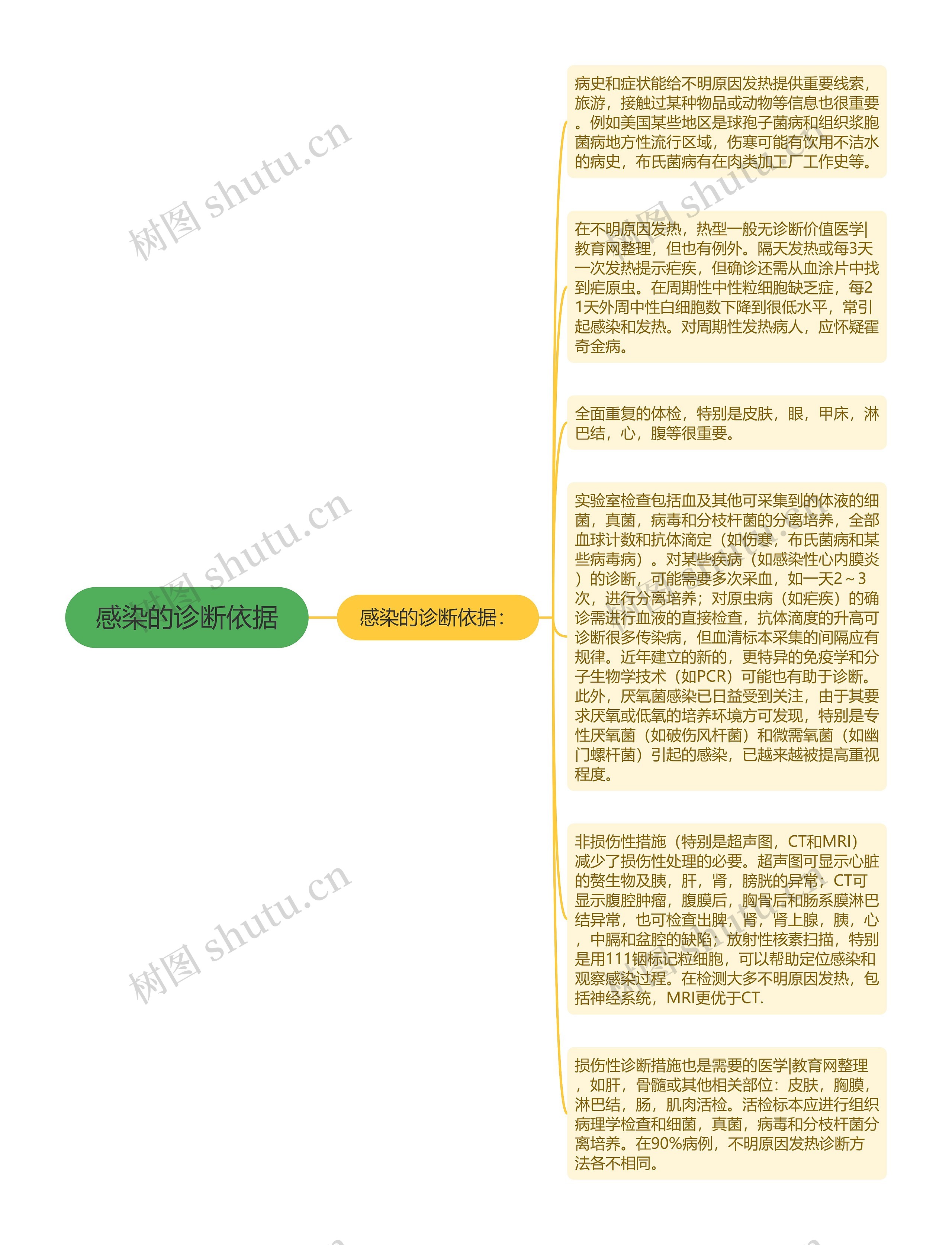 感染的诊断依据思维导图