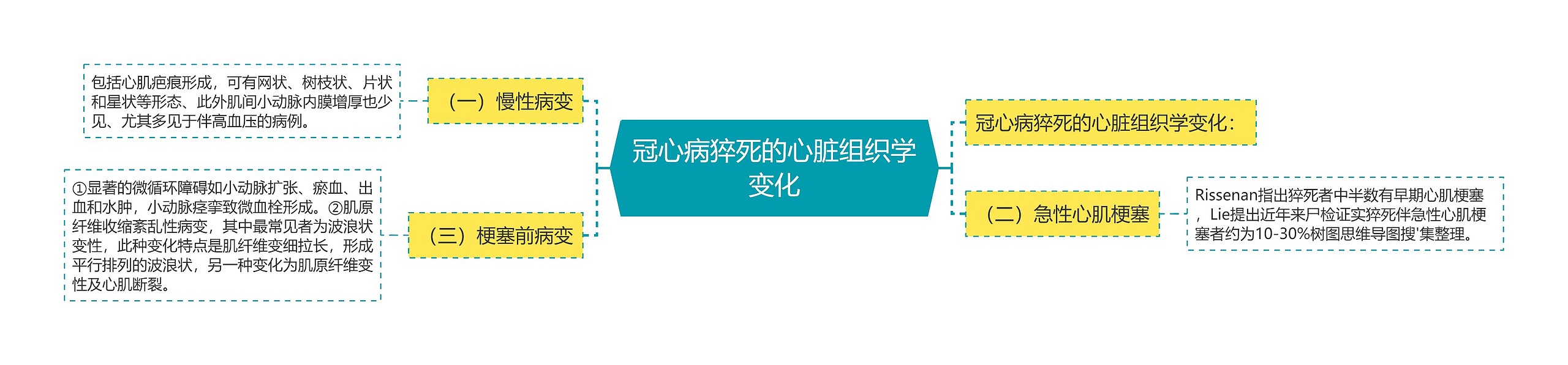 冠心病猝死的心脏组织学变化思维导图