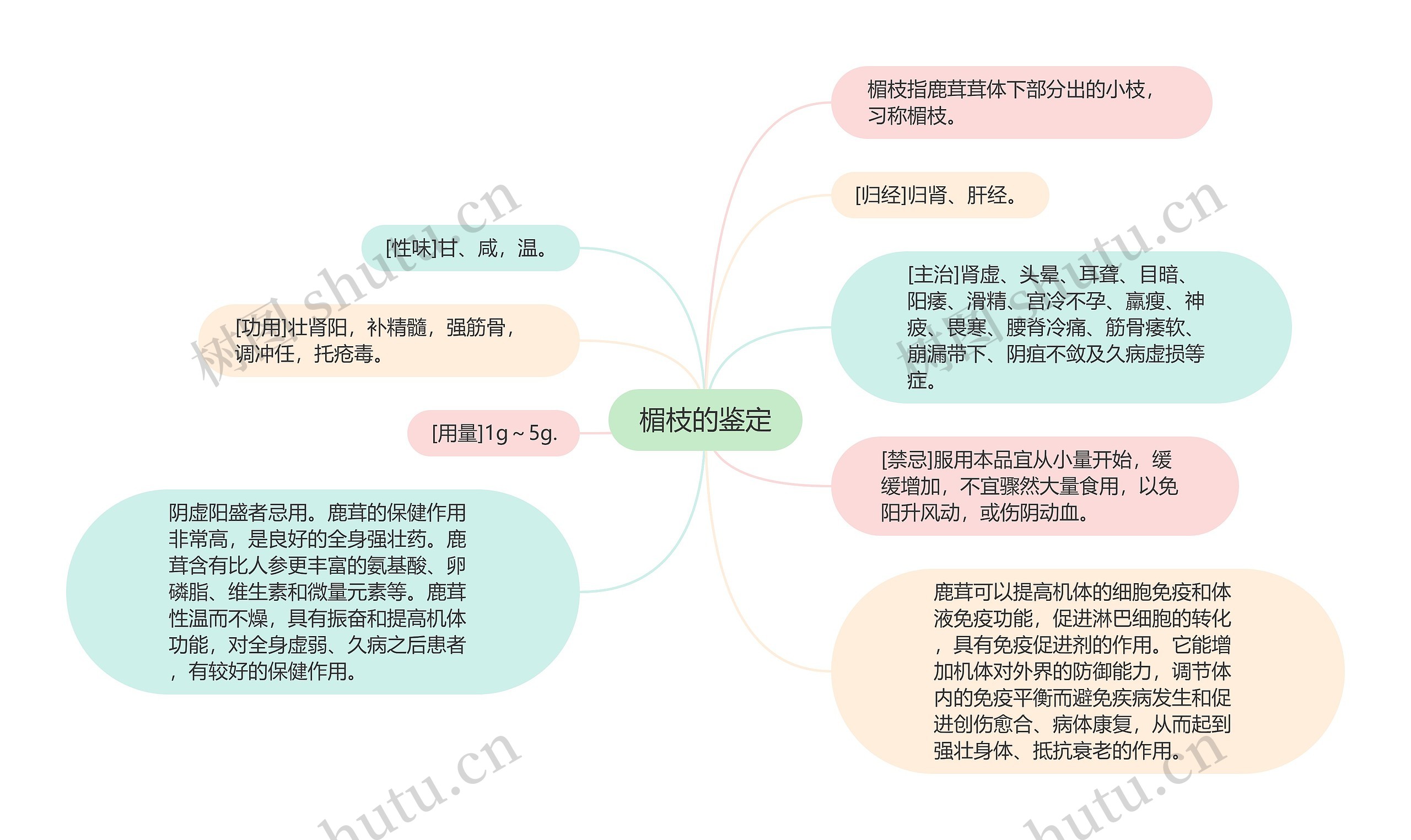 楣枝的鉴定思维导图