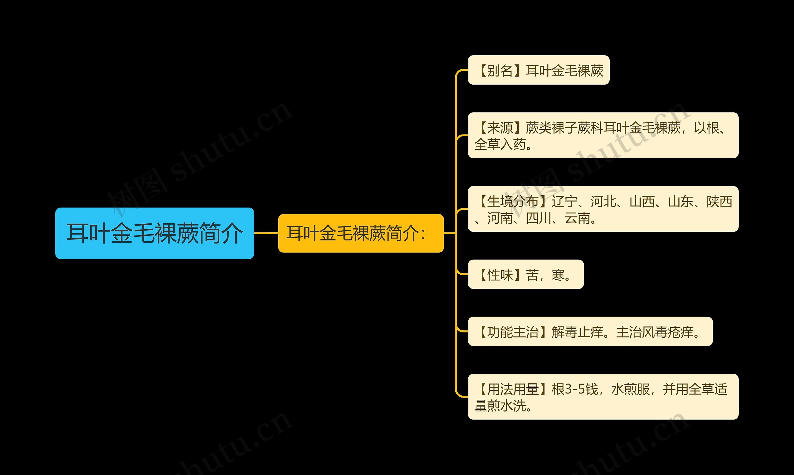 耳叶金毛裸蕨简介 耳叶金毛裸蕨简介