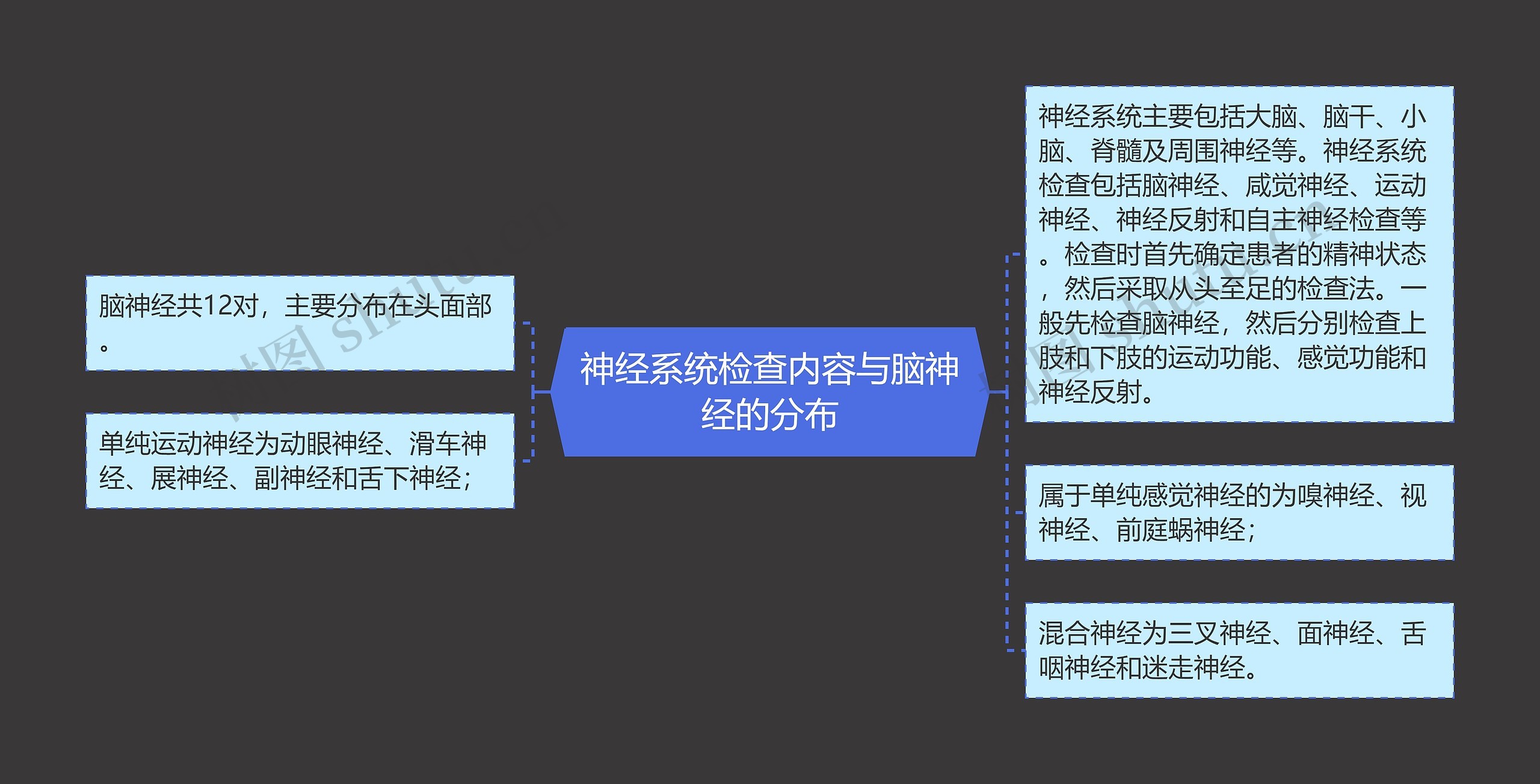 神经系统检查内容与脑神经的分布思维导图