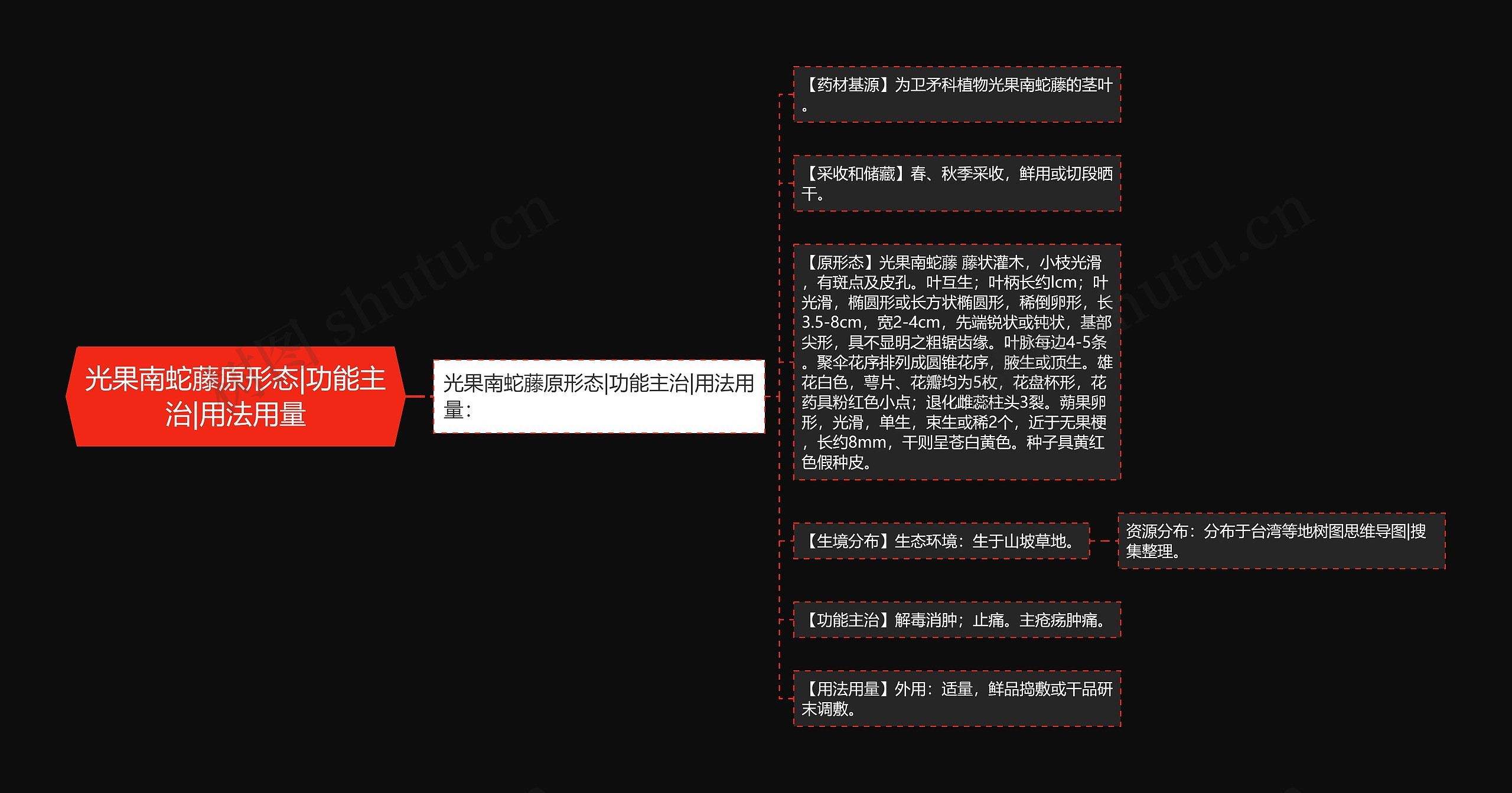 光果南蛇藤原形态|功能主治|用法用量思维导图