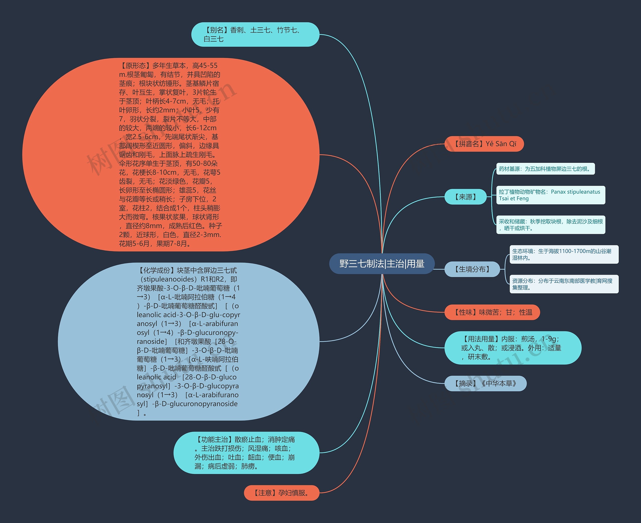 野三七制法|主治|用量思维导图