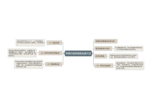 早期妊娠期辅助检查内容