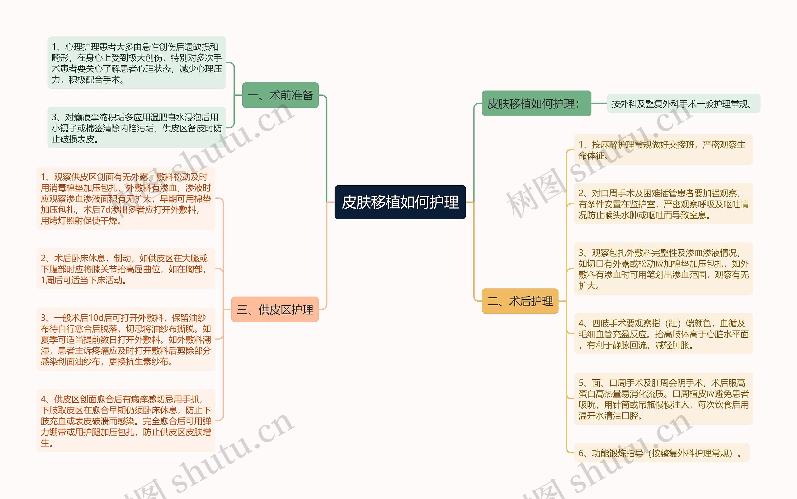 皮肤移植如何护理思维导图