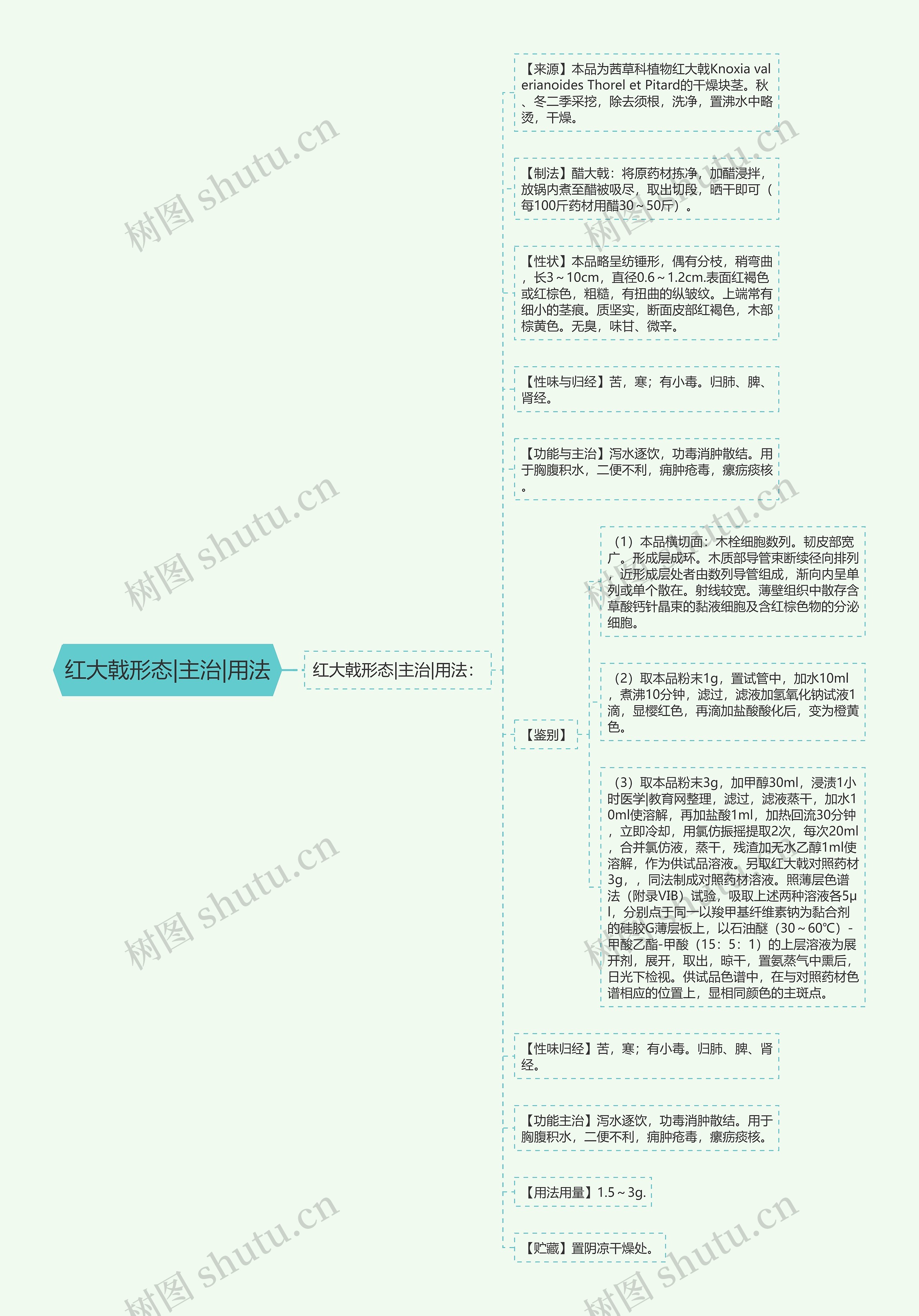 红大戟形态|主治|用法思维导图