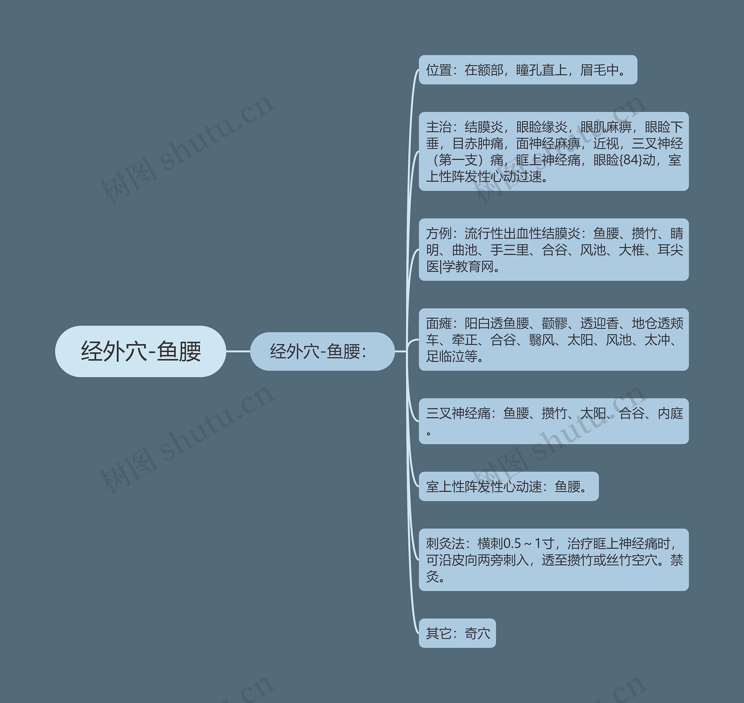 经外穴-鱼腰 经外穴-鱼腰