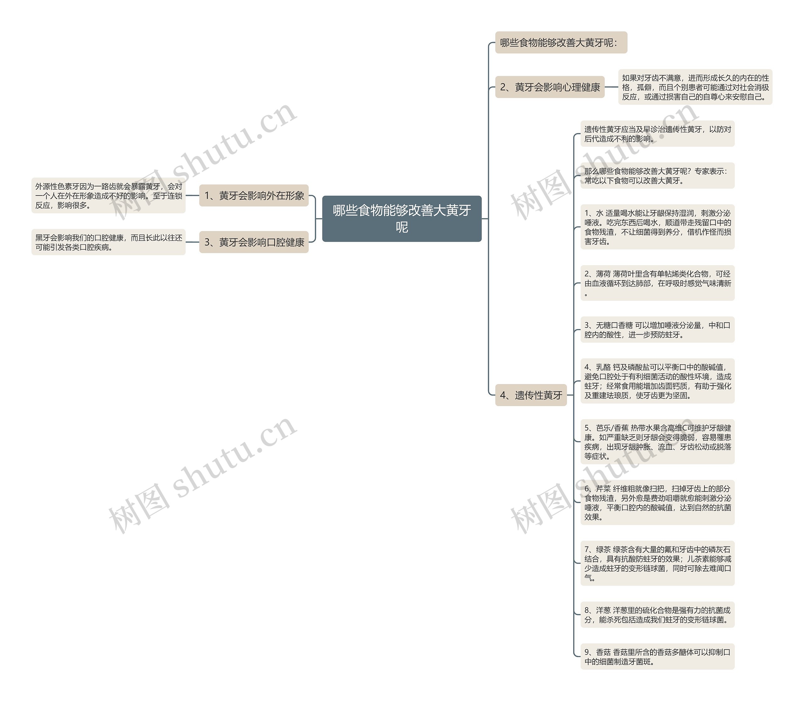 哪些食物能够改善大黄牙呢思维导图
