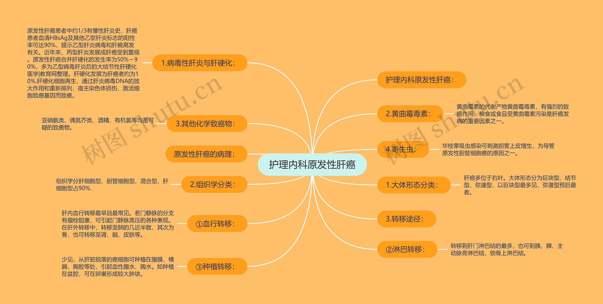 护理内科原发性肝癌 护理内科原发性肝癌