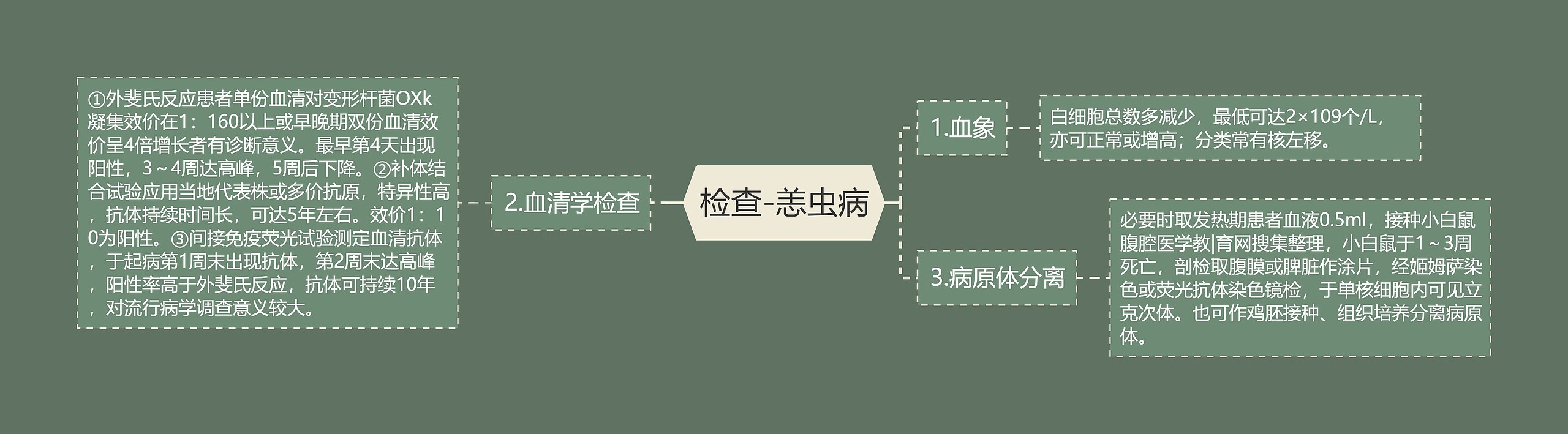 检查-恙虫病 检查-恙虫病