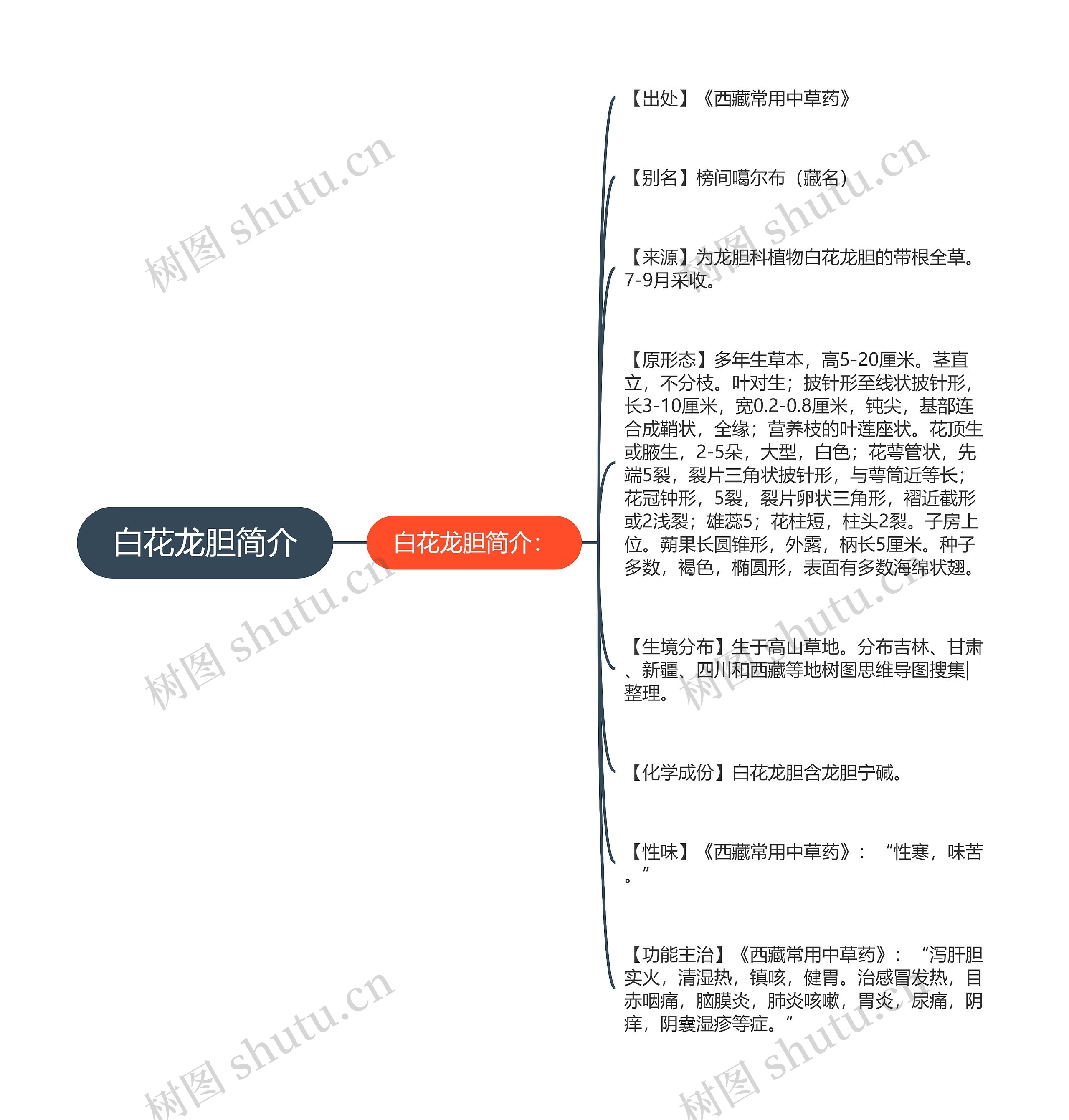 白花龙胆简介思维导图