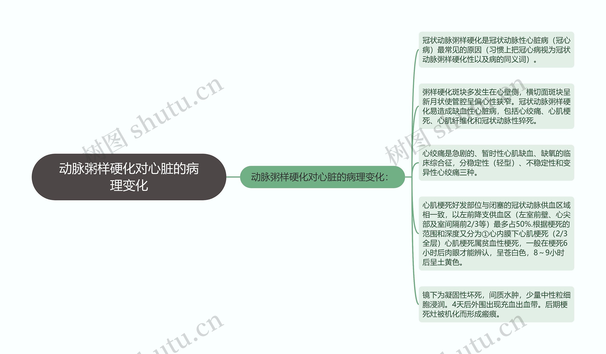 动脉粥样硬化对心脏的病理变化