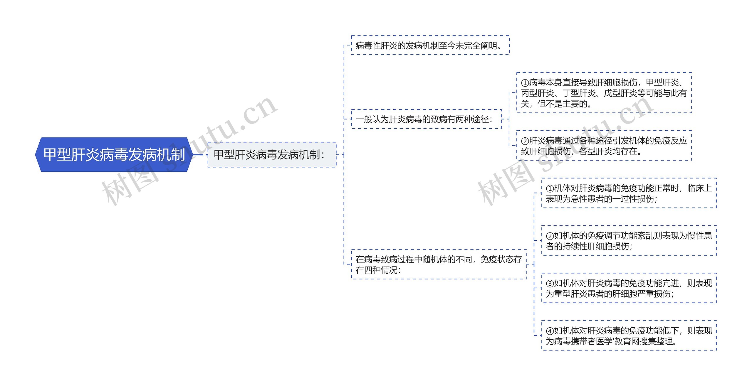 甲型肝炎病毒发病机制 甲型肝炎病毒发病机制