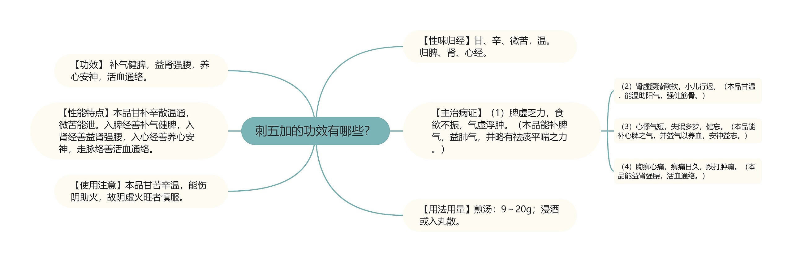 刺五加的功效有哪些？