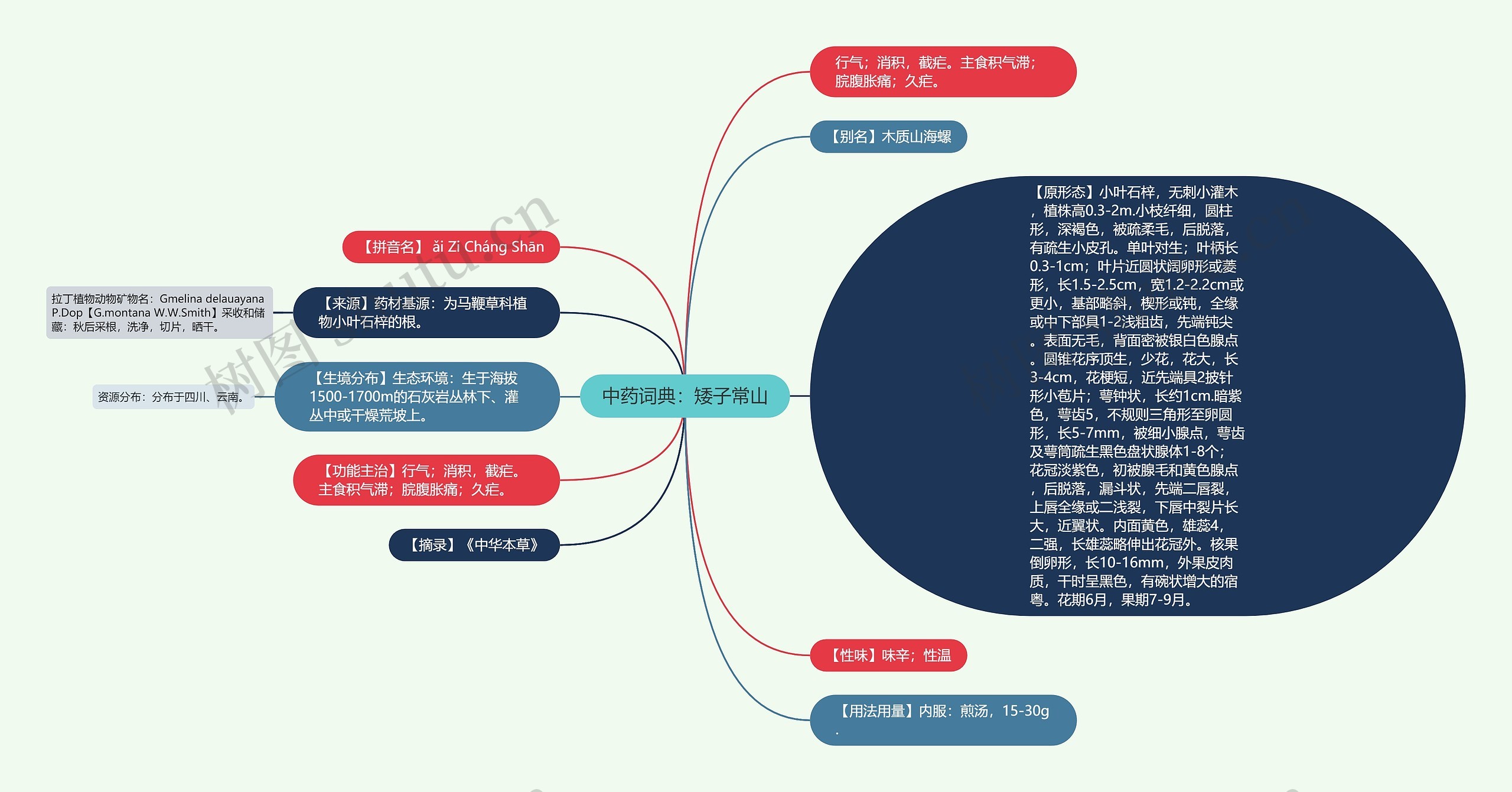 中药词典：矮子常山思维导图