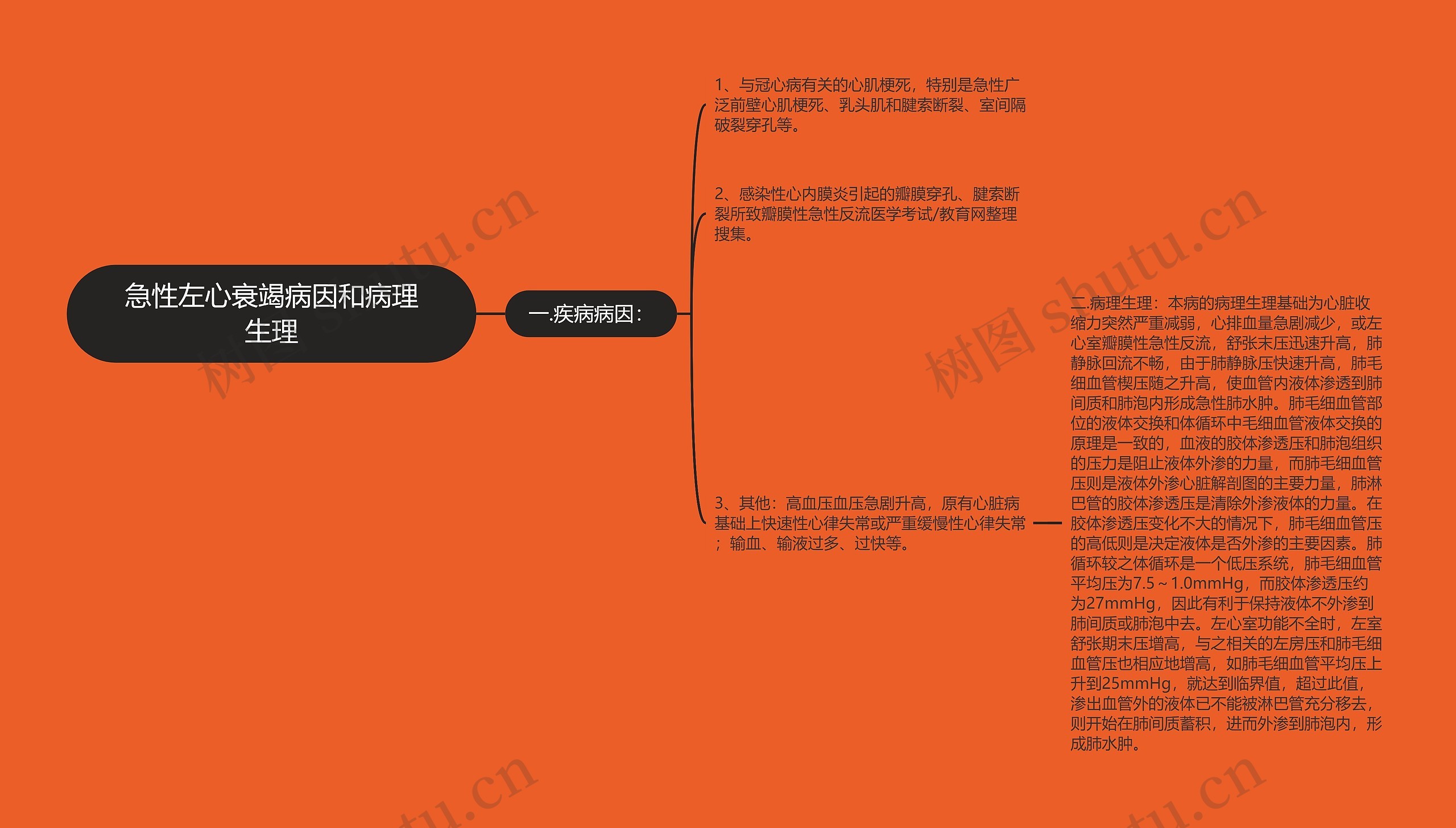 急性左心衰竭病因和病理生理思维导图