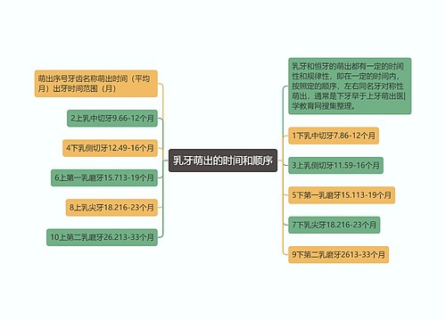 乳牙萌出的时间和顺序