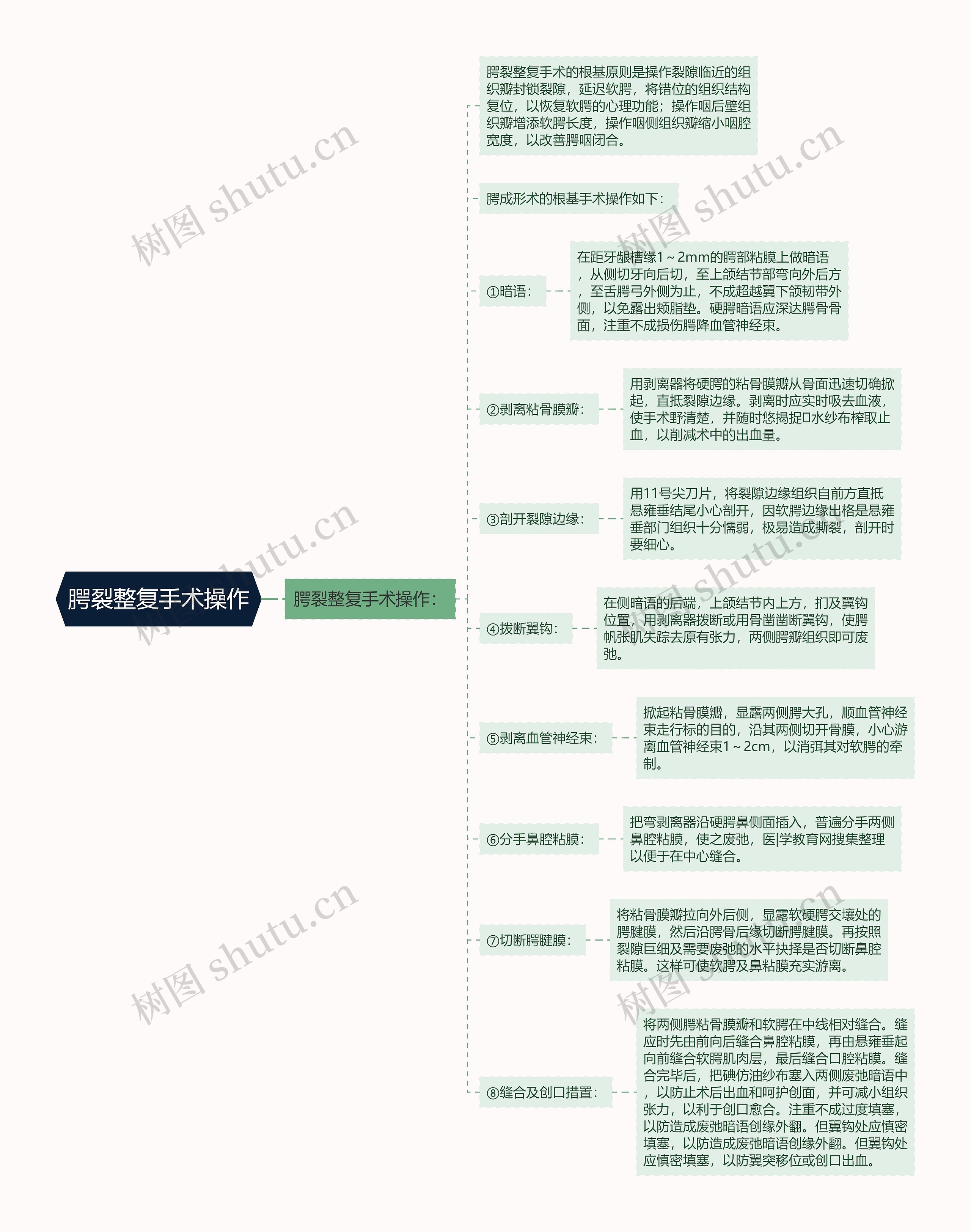 腭裂整复手术操作思维导图