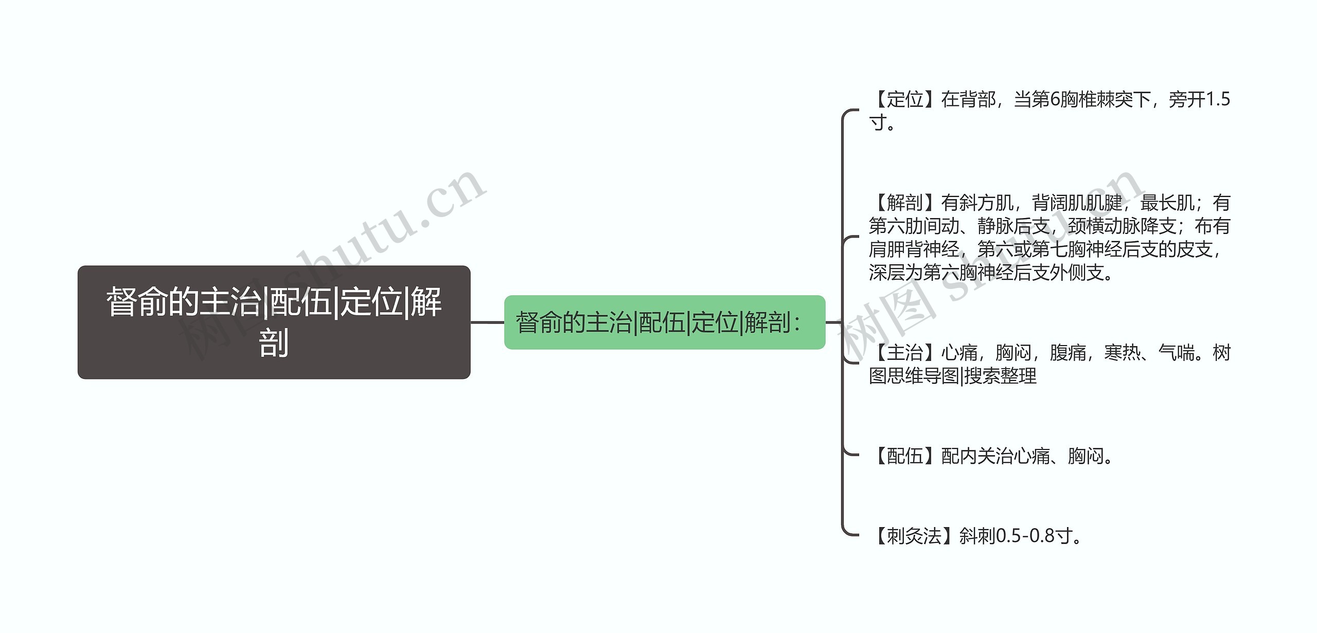 督俞的主治|配伍|定位|解剖思维导图