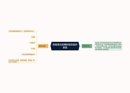 急性肾炎发病机制及临床表现