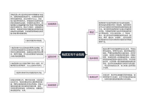 釉质发育不全指南