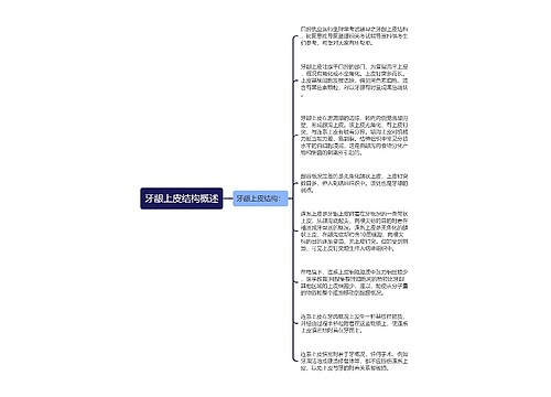 牙龈上皮结构概述