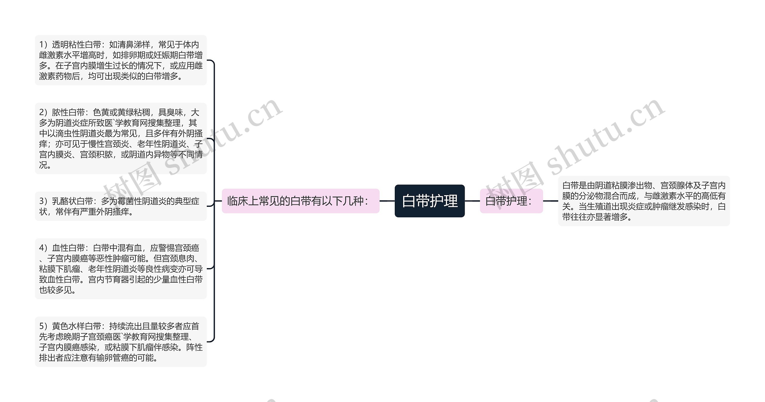 白带护理思维导图