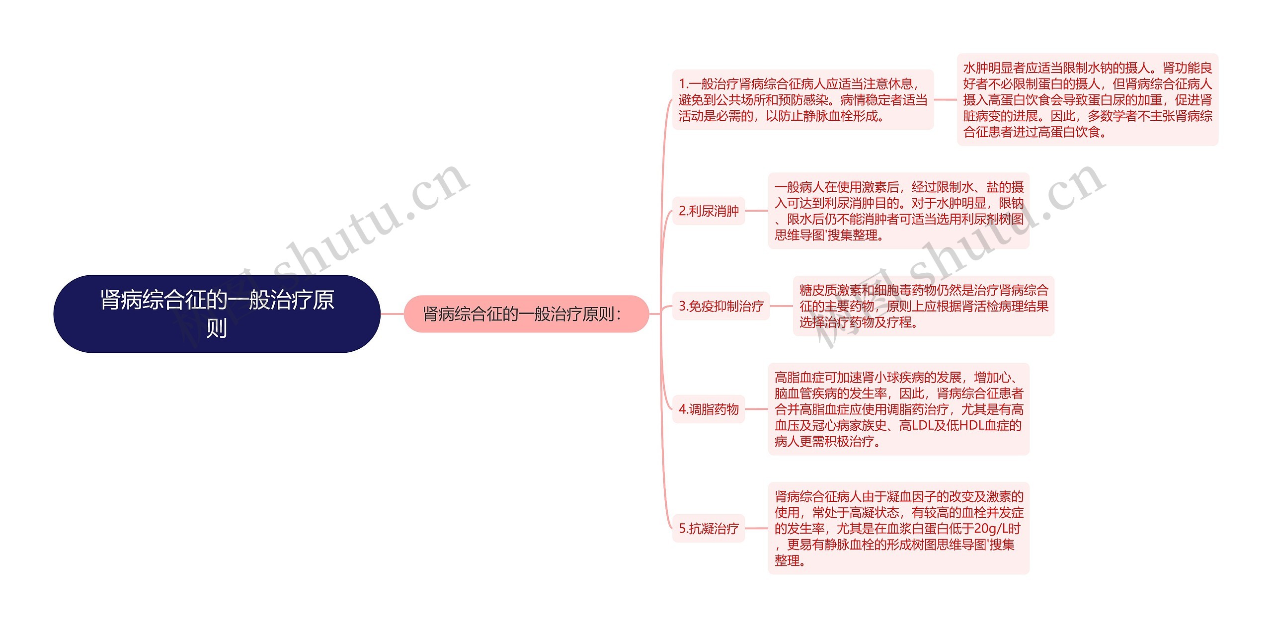 肾病综合征的一般治疗原则