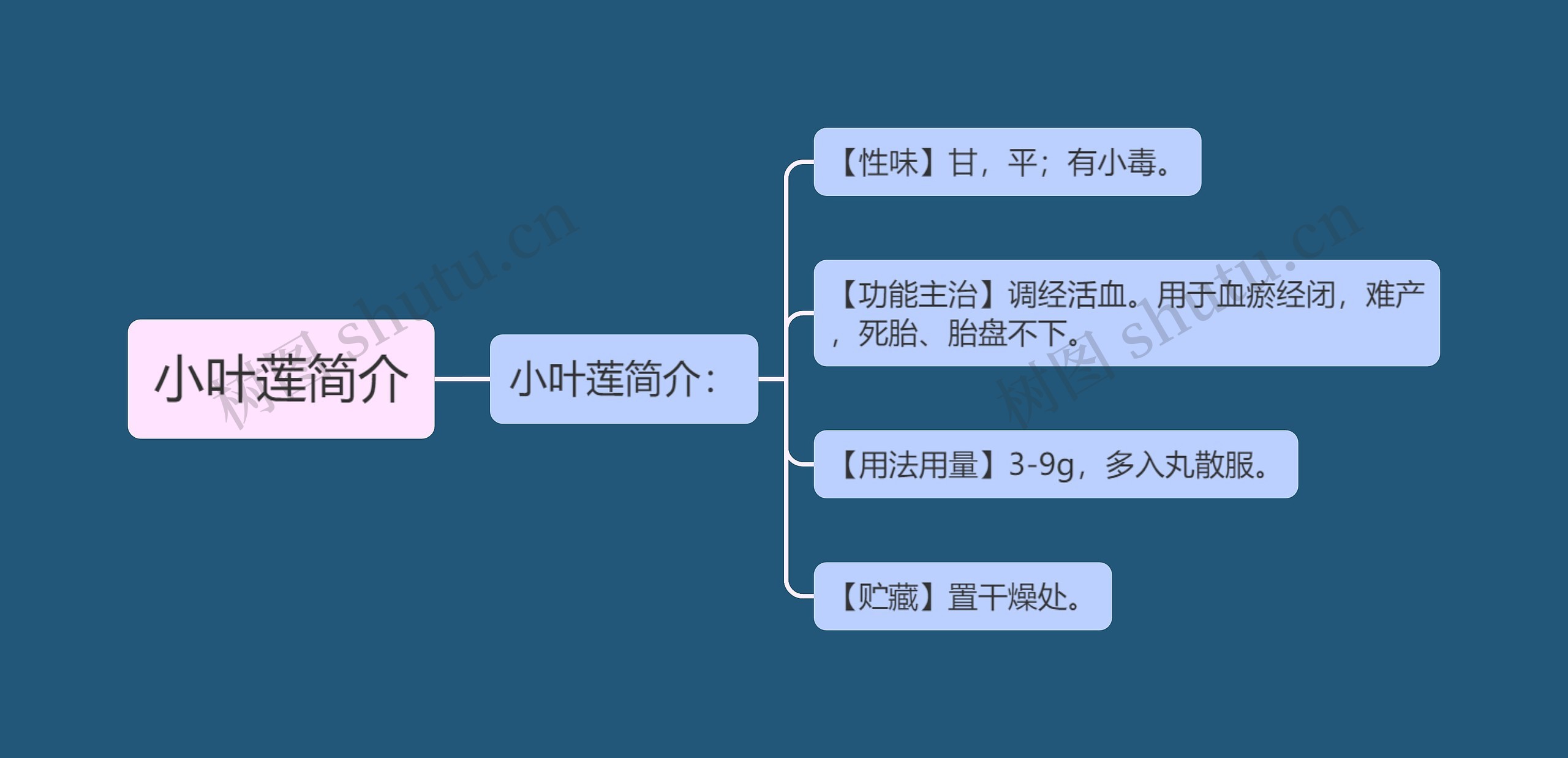 小叶莲简介思维导图