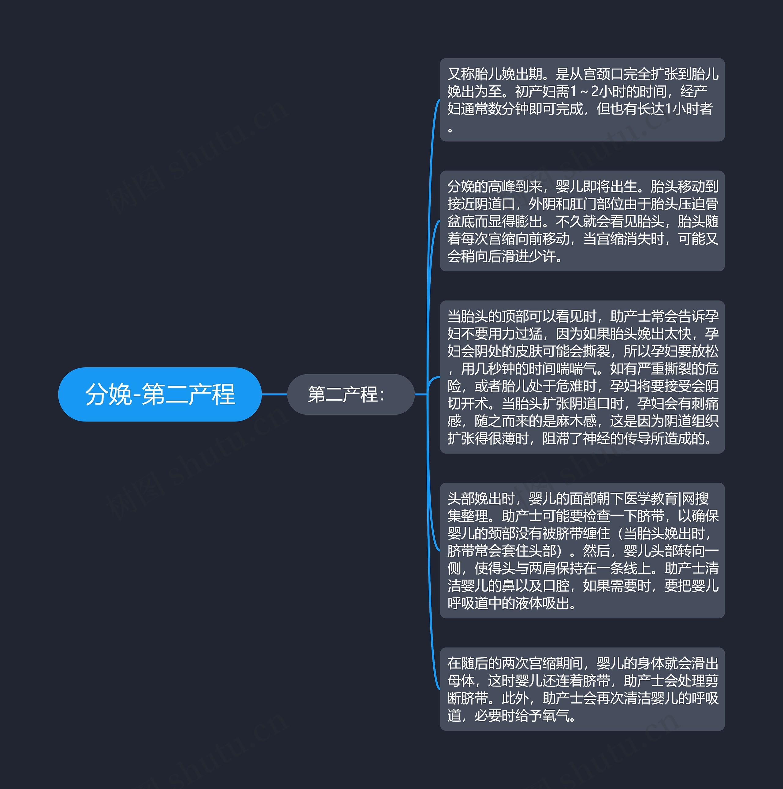 分娩-第二产程思维导图