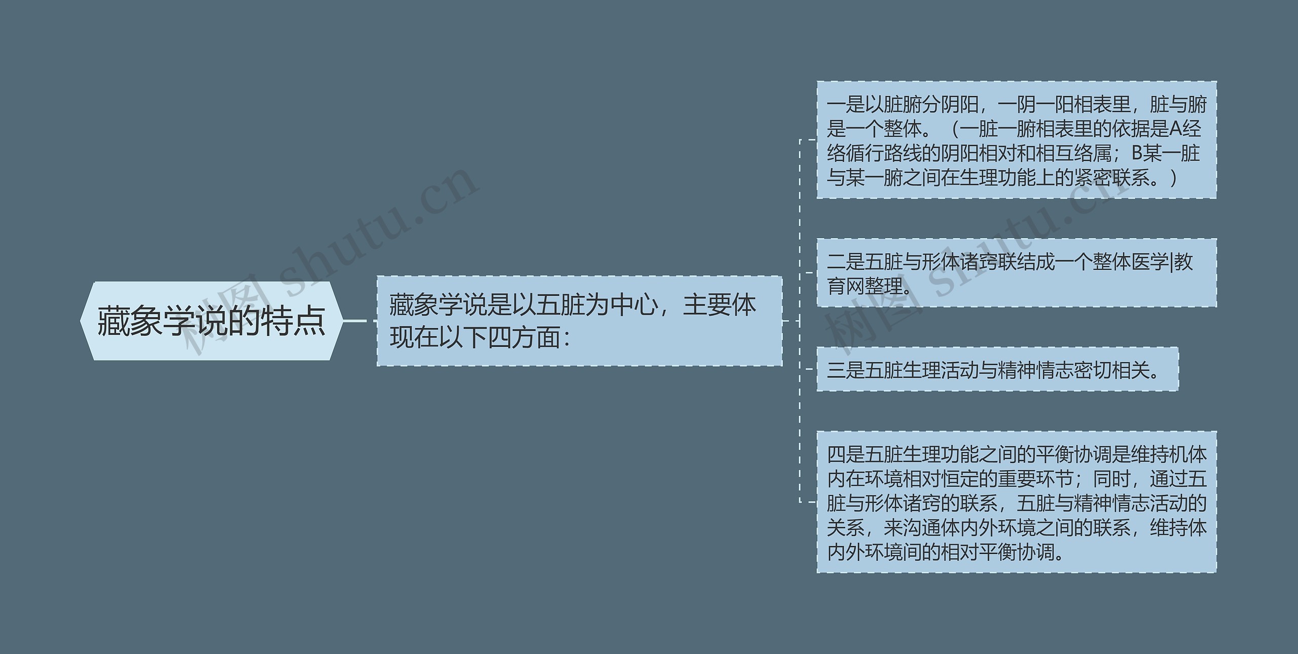 藏象学说的特点 藏象学说的特点