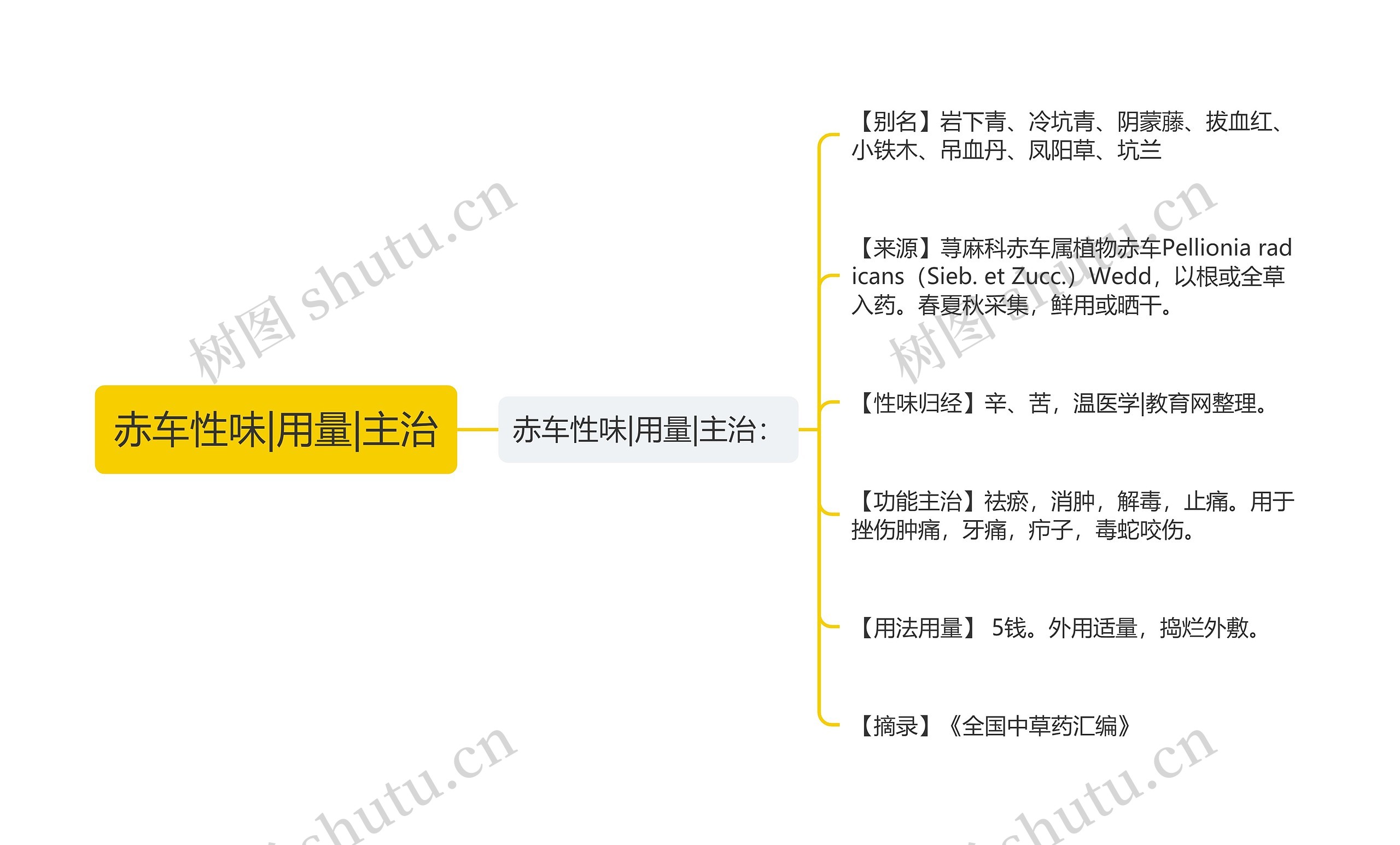 赤车性味|用量|主治思维导图