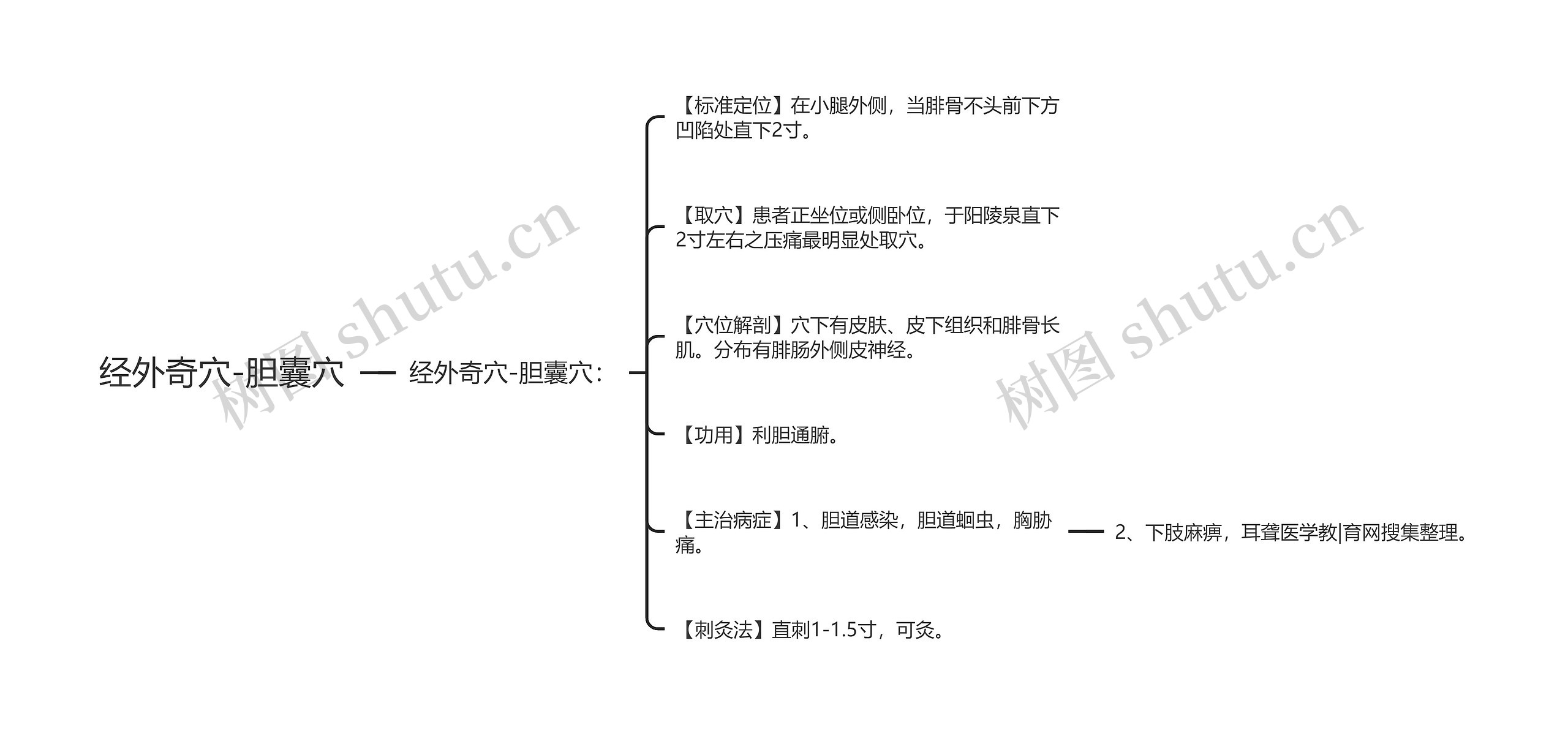 经外奇穴-胆囊穴