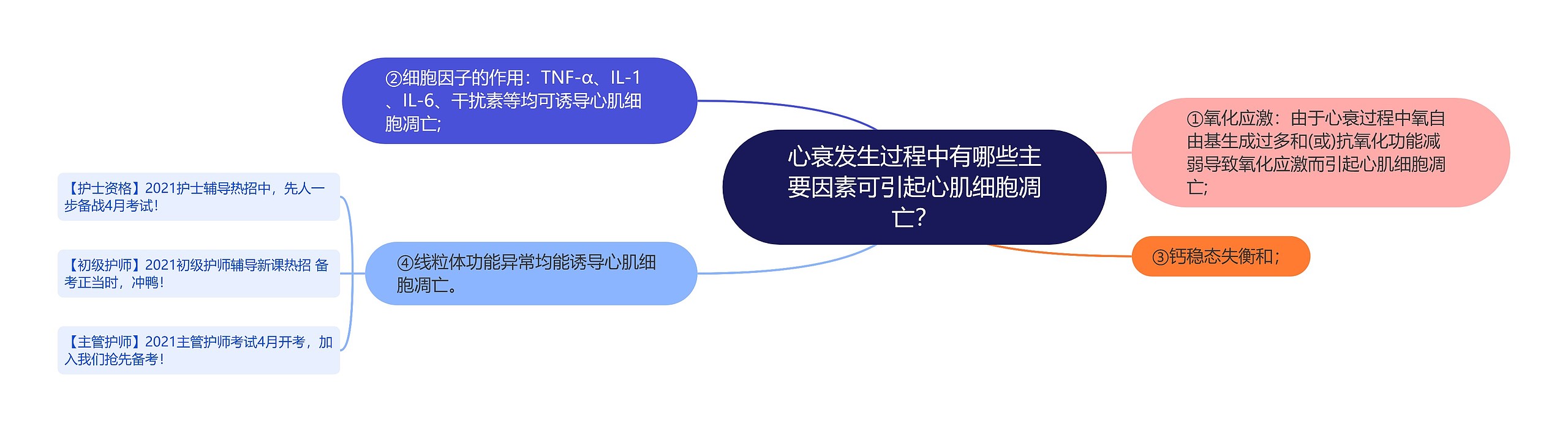 心衰发生过程中有哪些主要因素可引起心肌细胞凋亡？思维导图