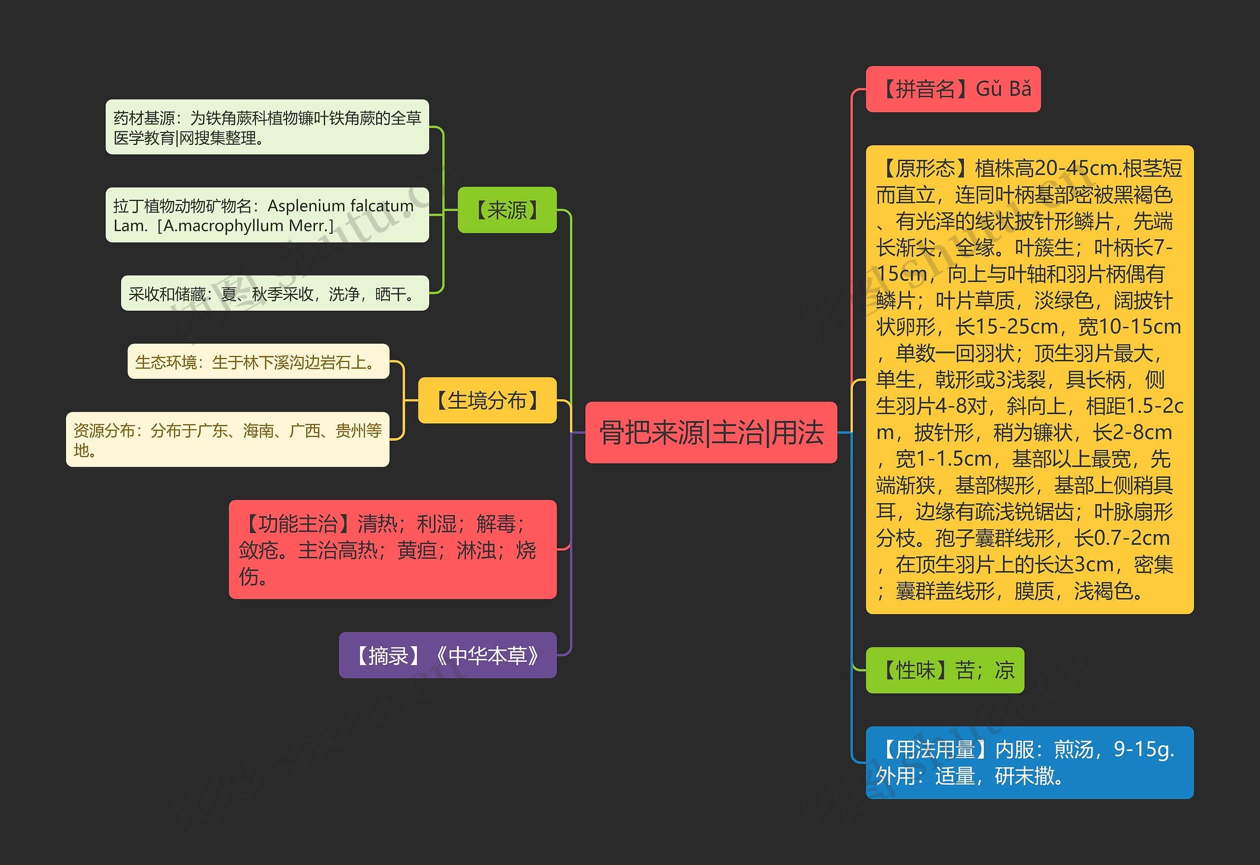 骨把来源|主治|用法