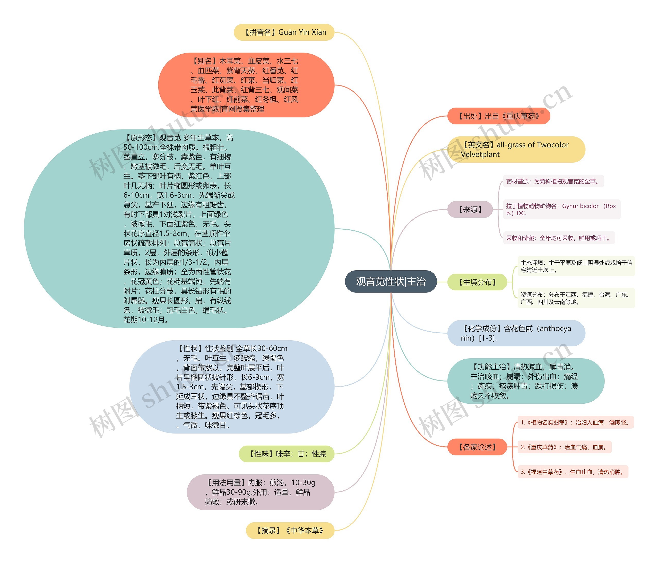 观音苋性状|主治思维导图