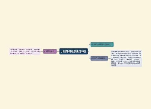 小肠的概述及生理特性